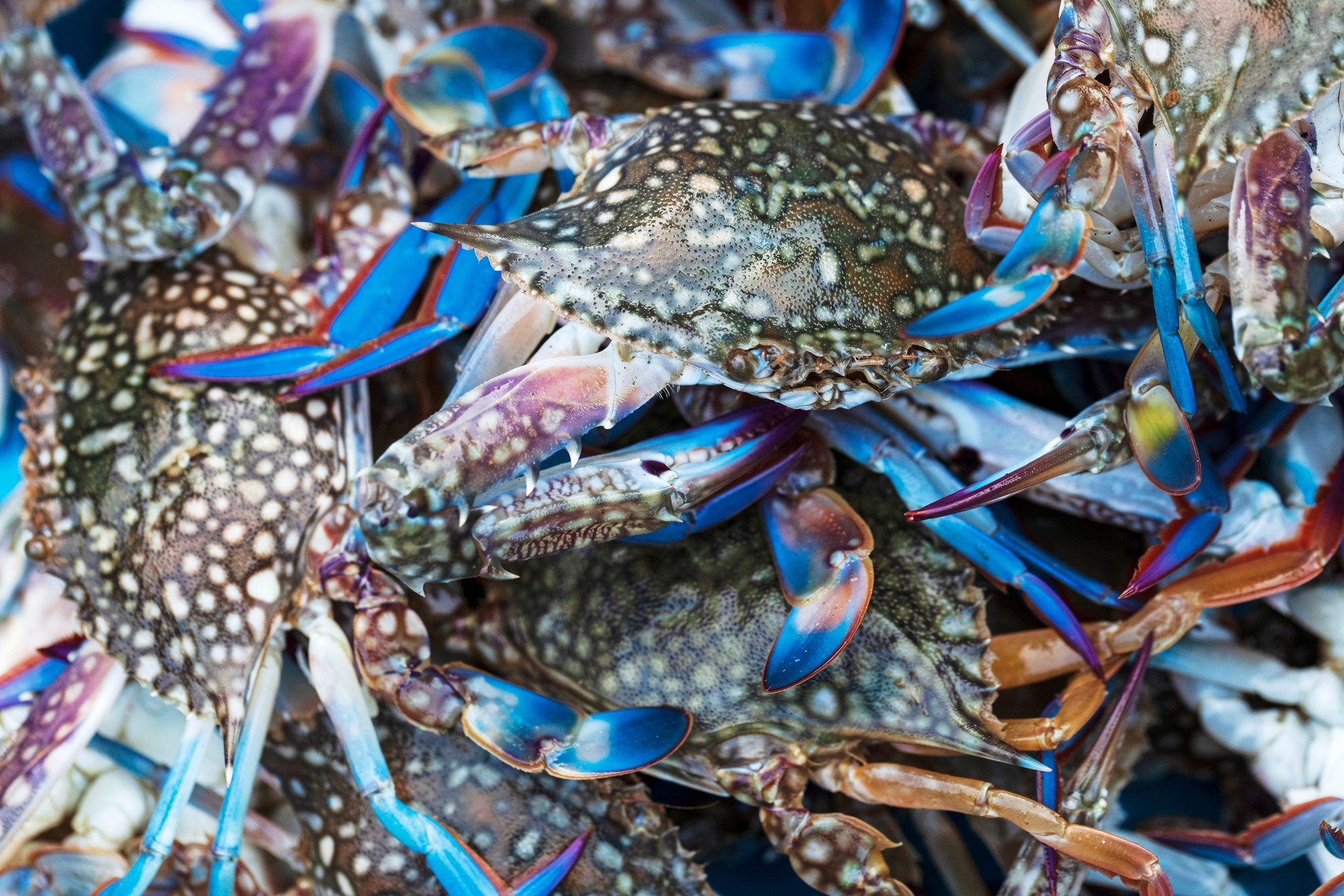 Фактуры. High-quality interior photos for your home, office, hotel