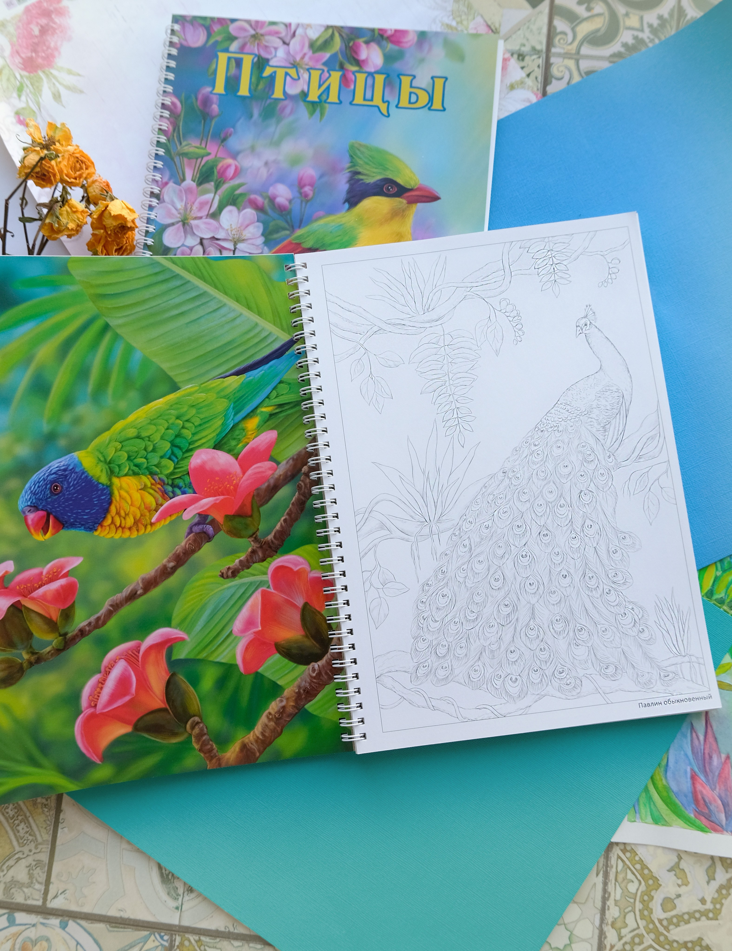 Авторская раскраска от художника Птицы. Раскраски Алёны Лазаревой