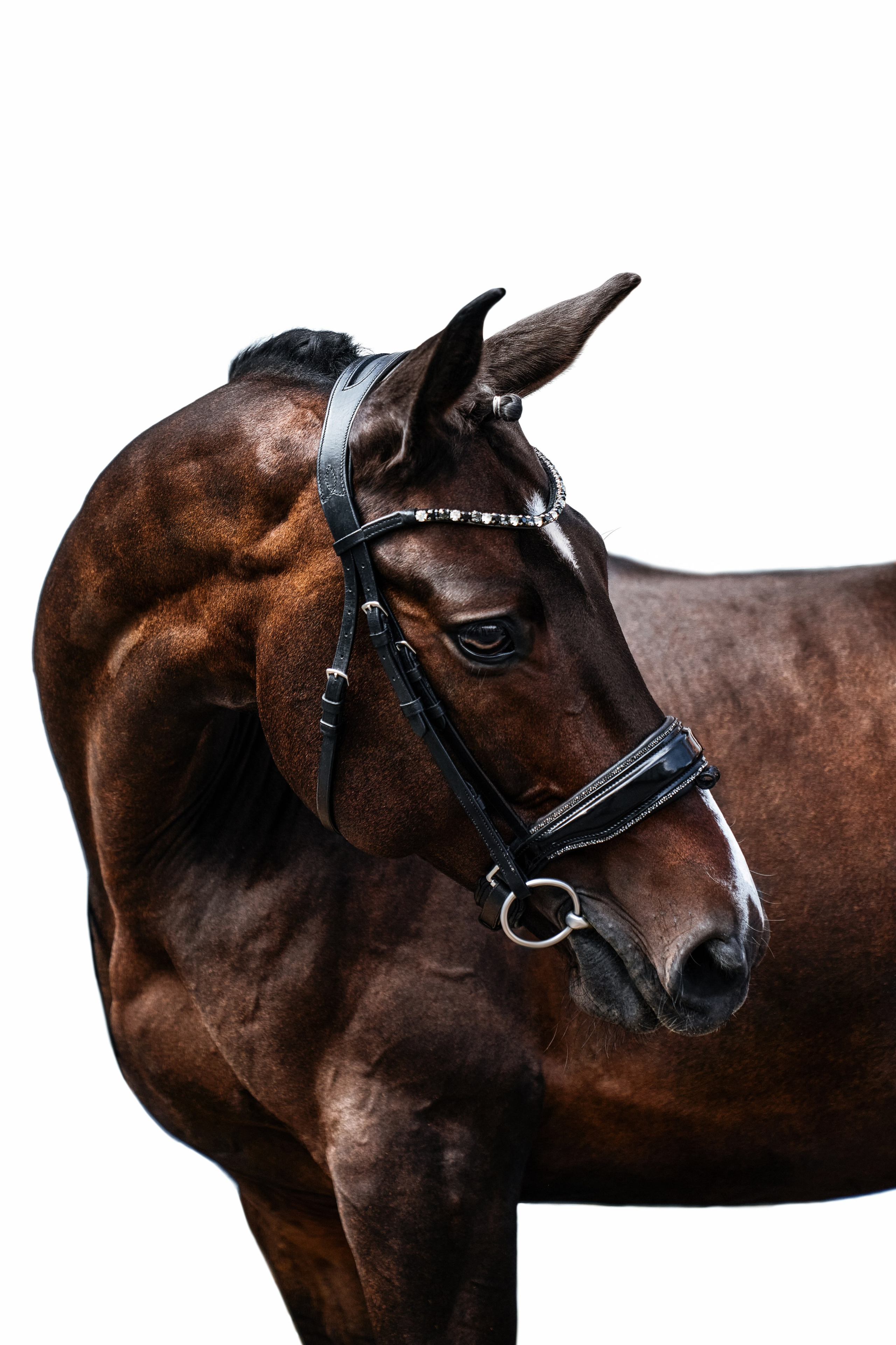 Конные съемки. Фотограф Москва Кристина Джоанна