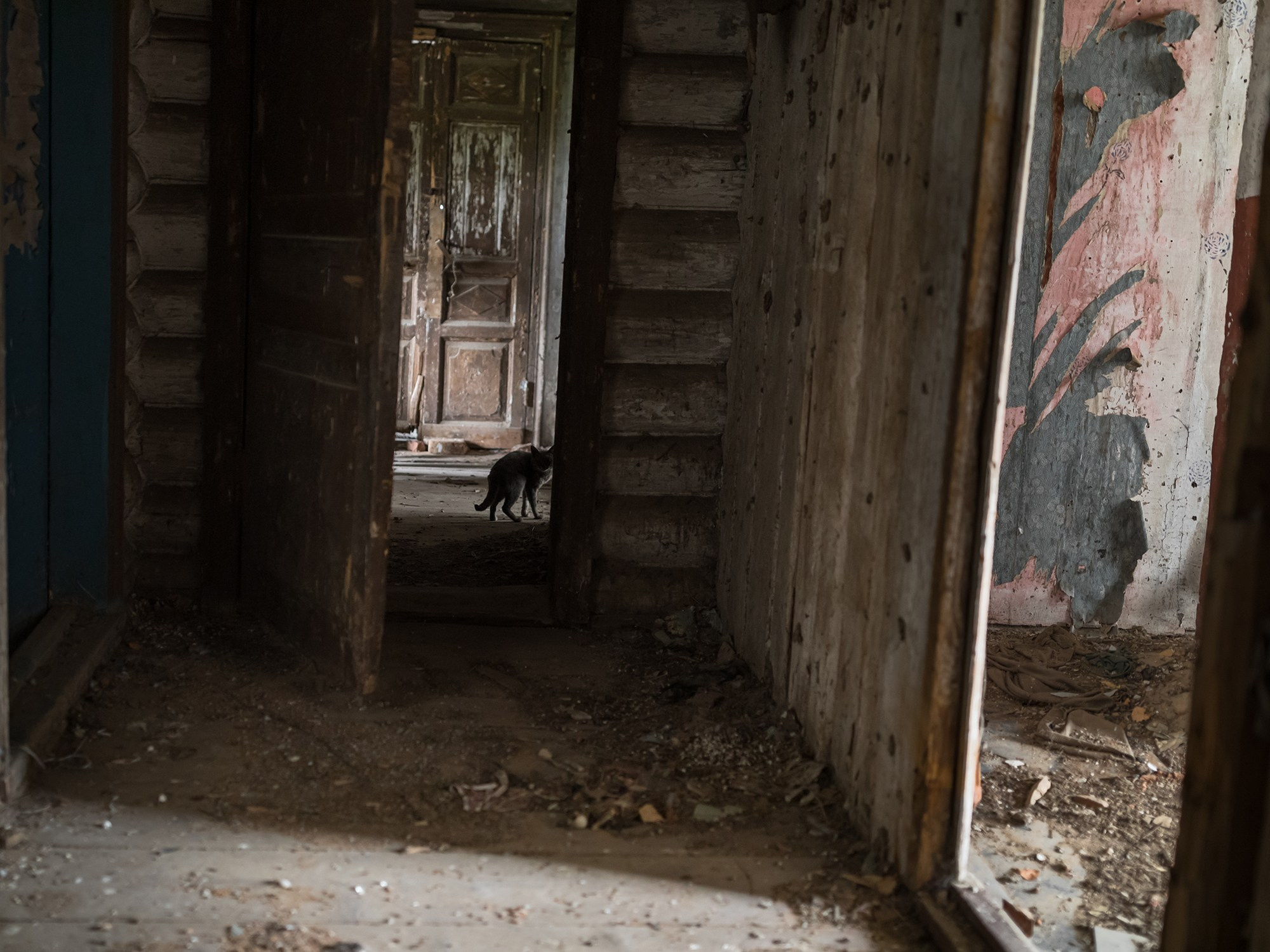 Russia. Documentary and art photographer Alexey Terentyev