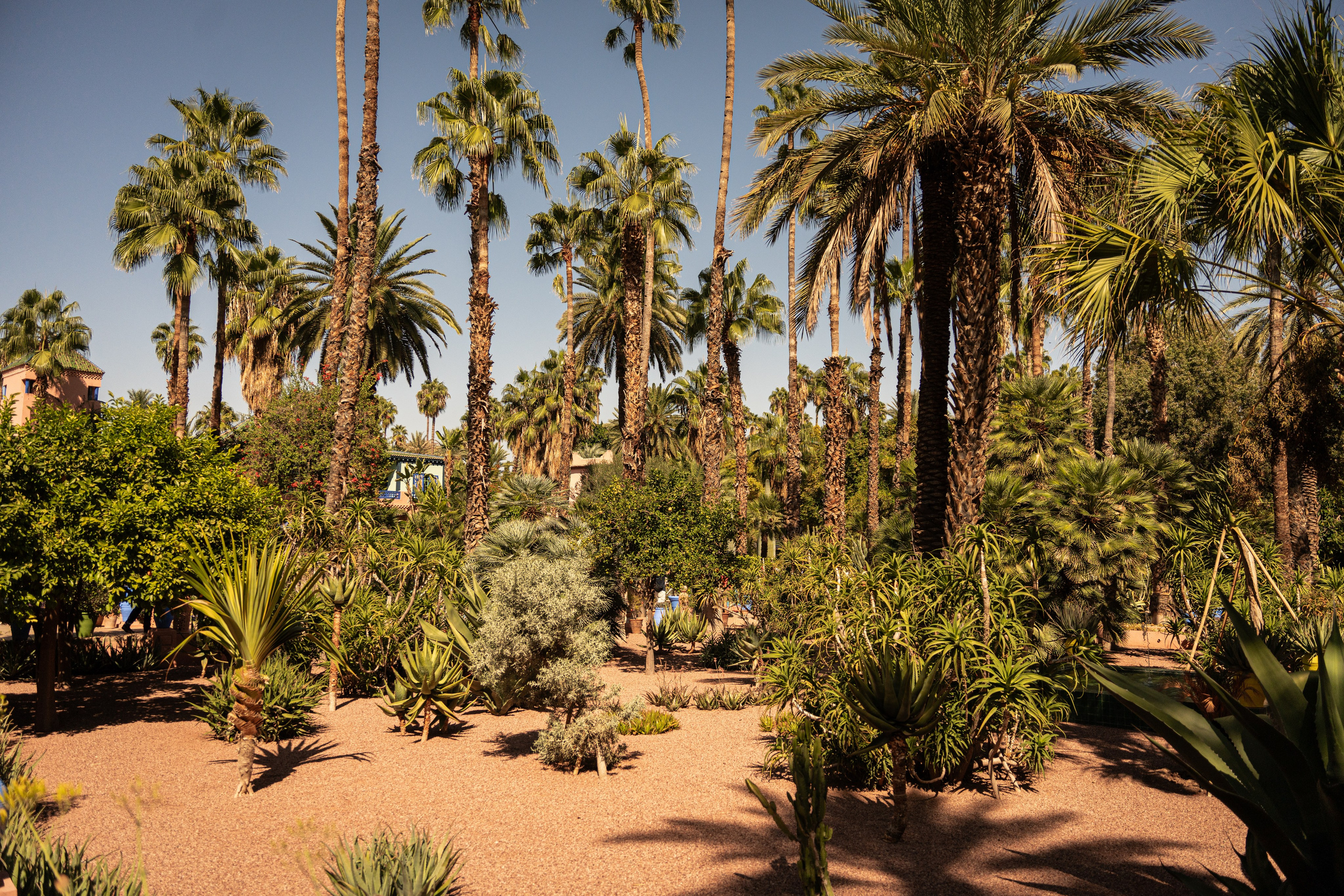 Марокко. Илья Варин — Фотограф Москва, Тверь