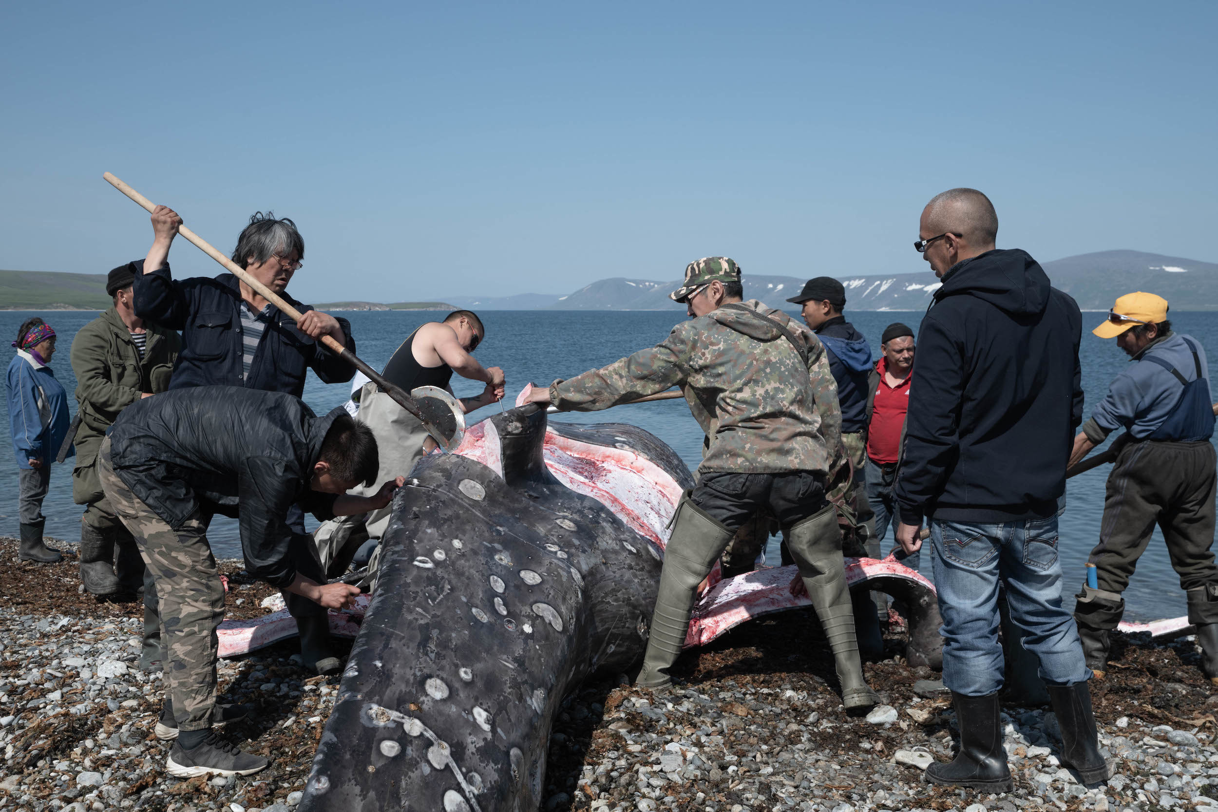 Вокруг кита быстро собирается толпа местных жителей. Бесплатное свежее мясо!