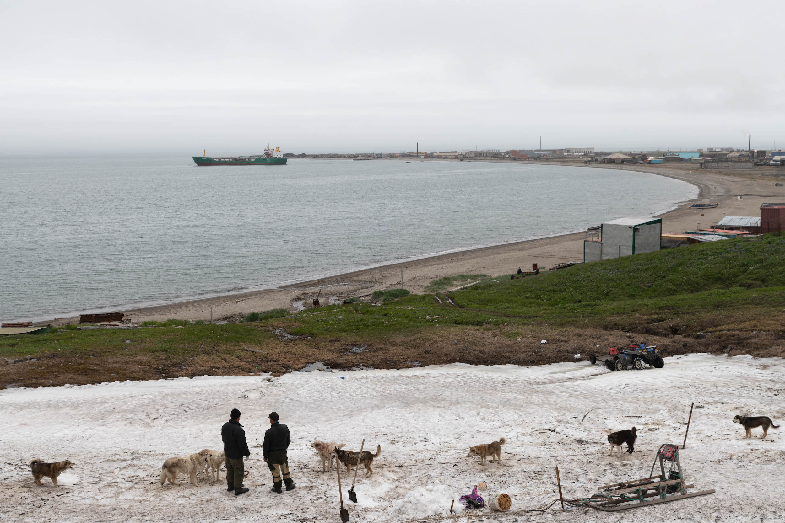 Житель села Лаврентия кормит собак ферментированным моржовым мясом