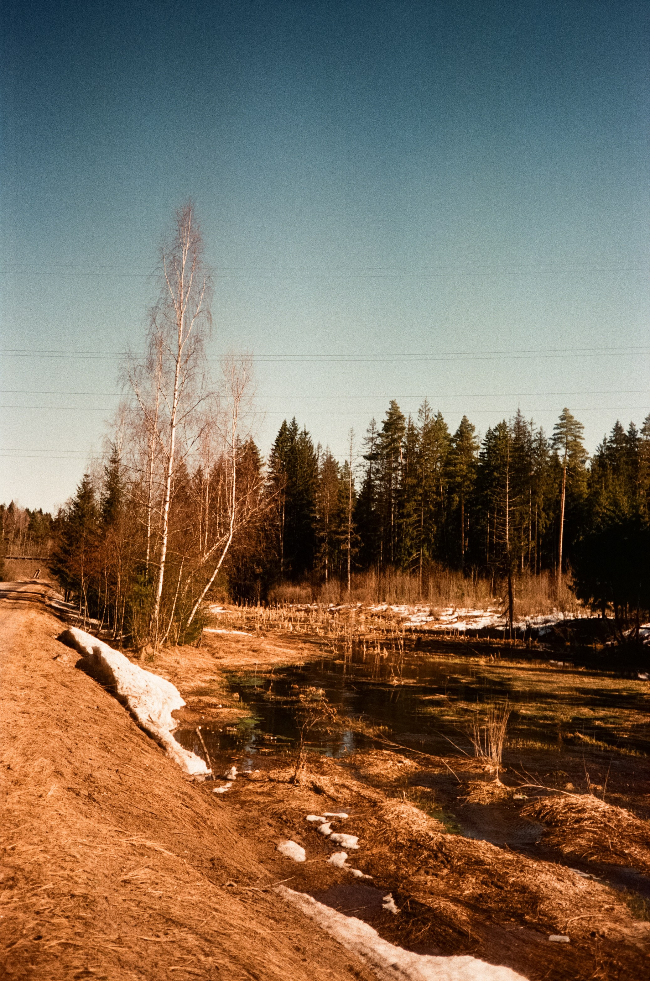 Ricoh FF-300D / Fujifilm X-tra 400 (просрочка) / Лукино март 2024 г