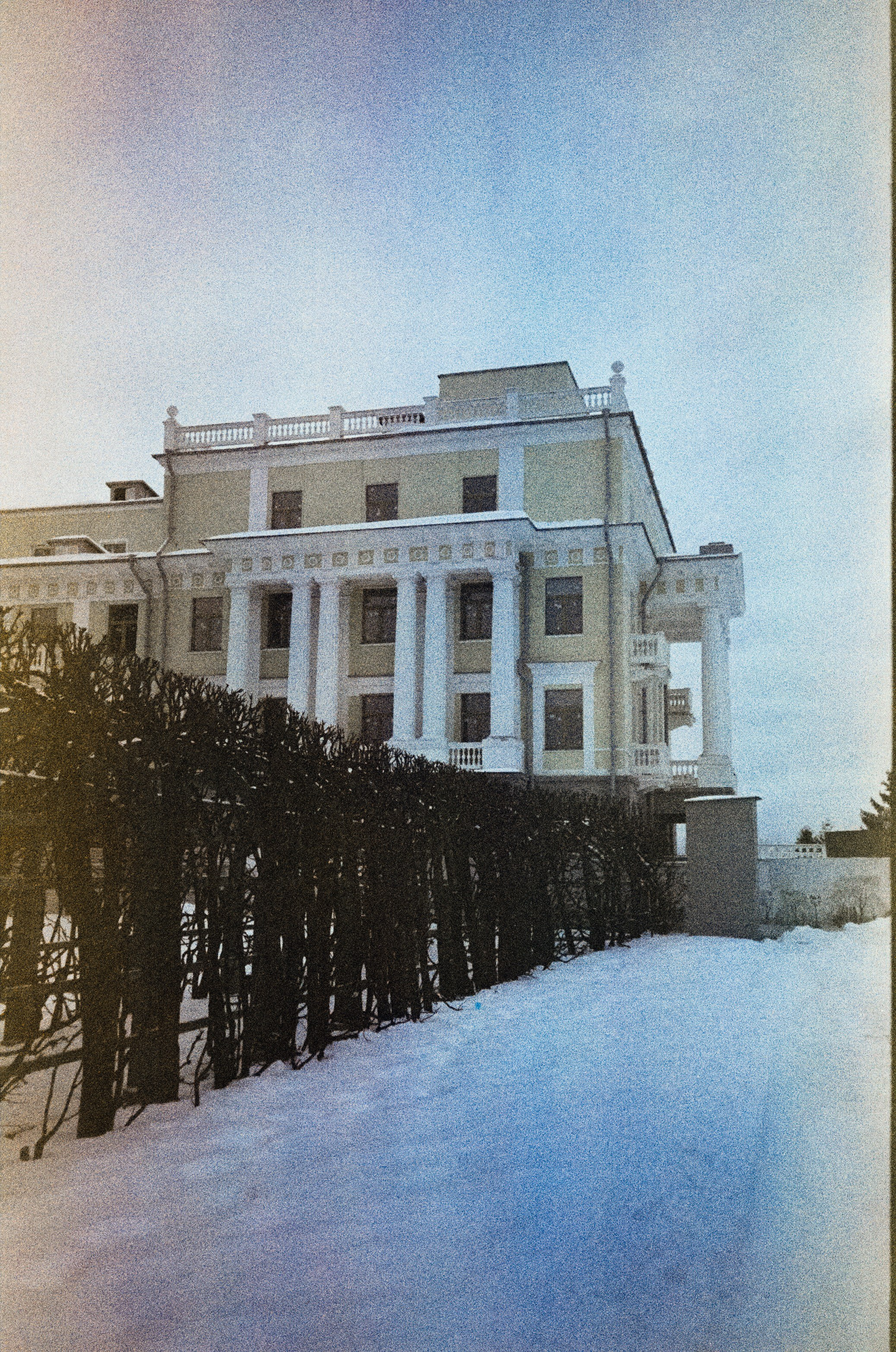 Fujicolor Superia 200 (просрочка) / Cosina CX-1 / 6 января 2025 года Усадьба Архангельское