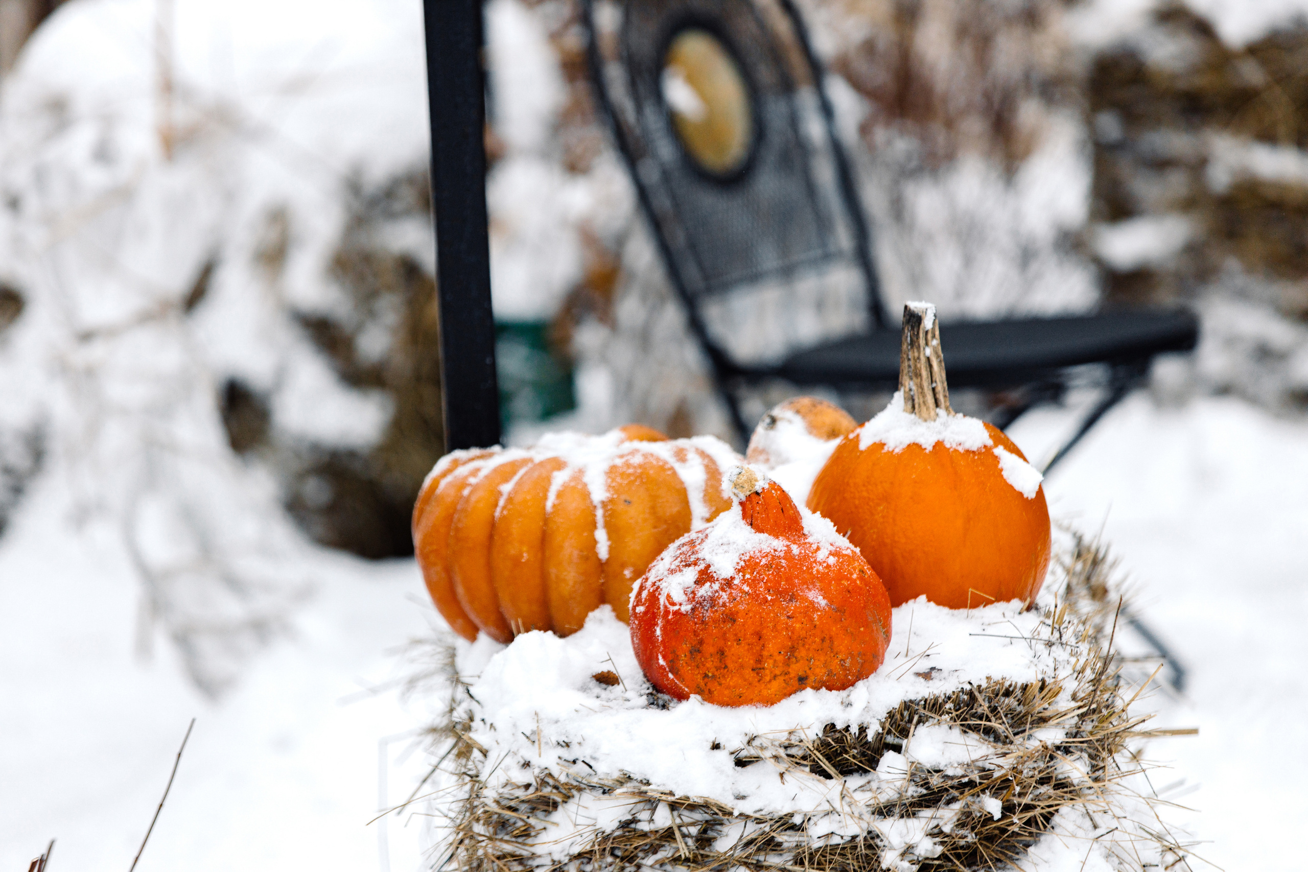Мария и Александр