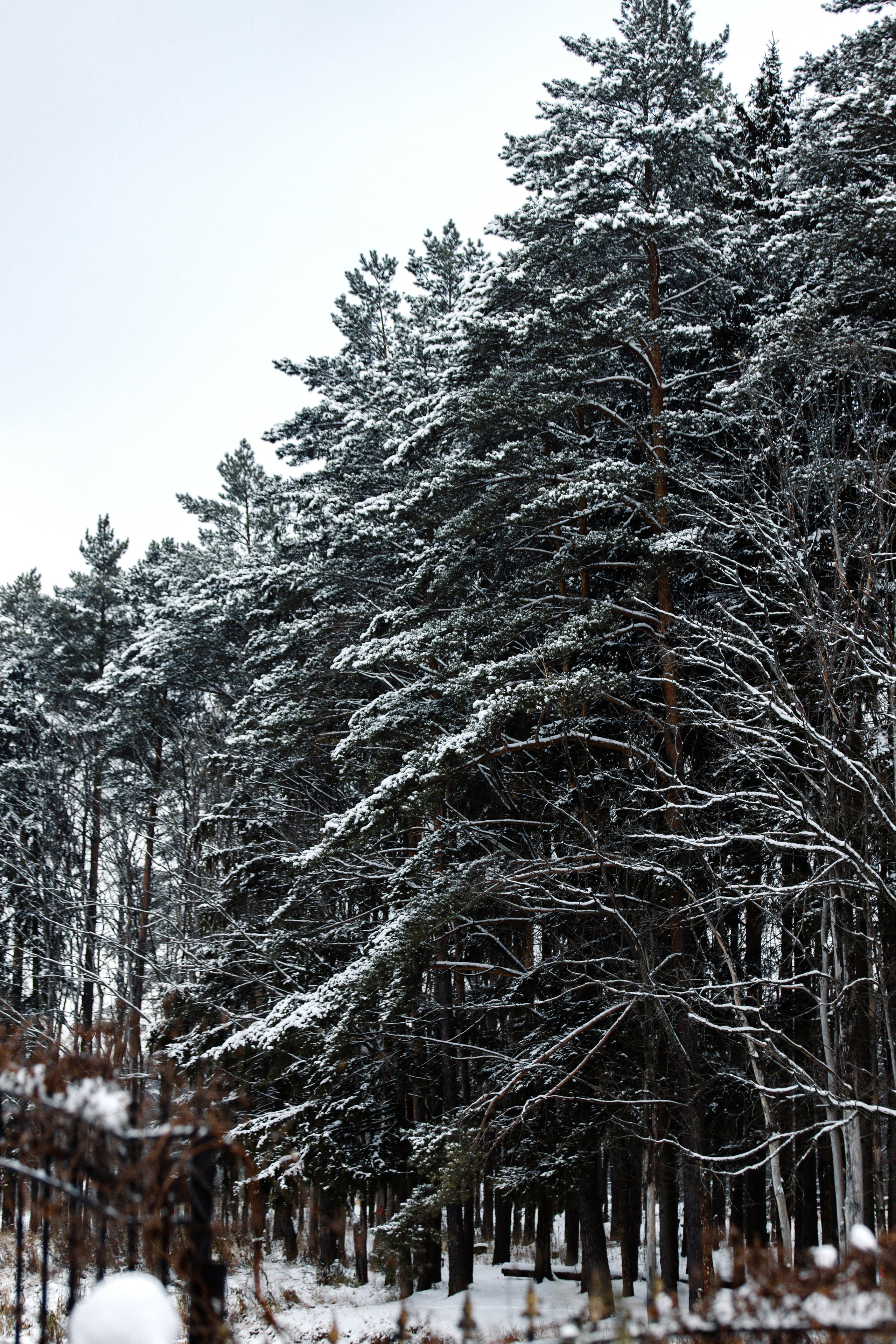 Мария и Александр
