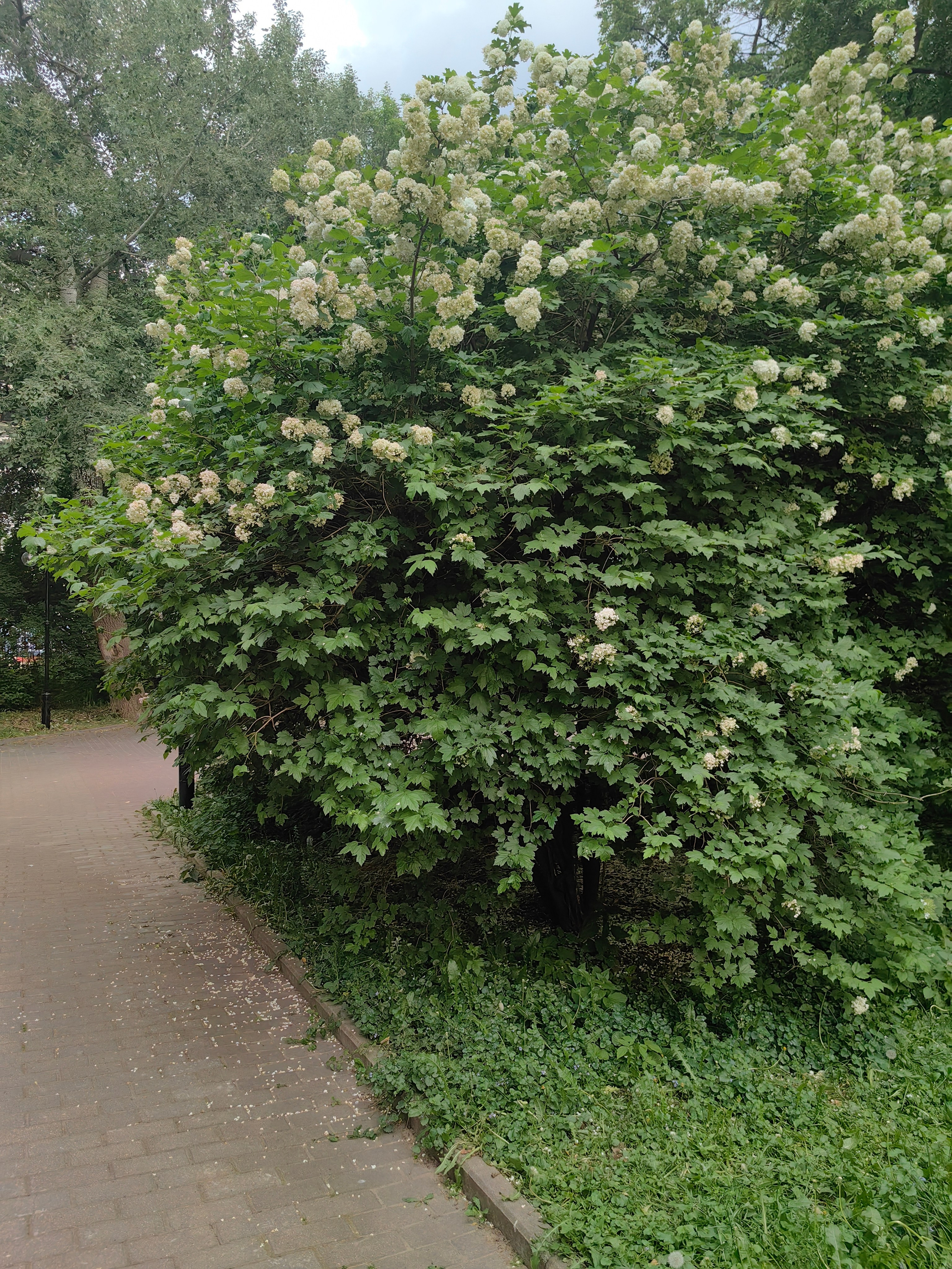 Парк ЕКАТЕРИНИНСКИЙ обзор. Фотограф в Москве и Московской области (Ю-В) Олеся Макарова