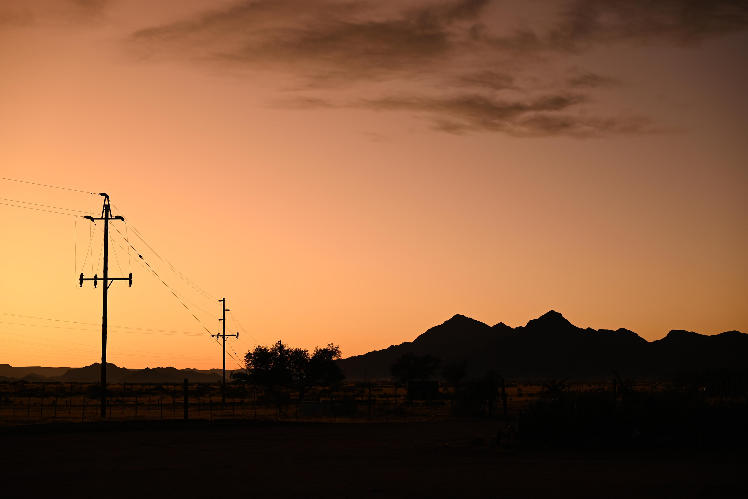 Выставки. Фотограф Дарья Сафонова Dashulkacss