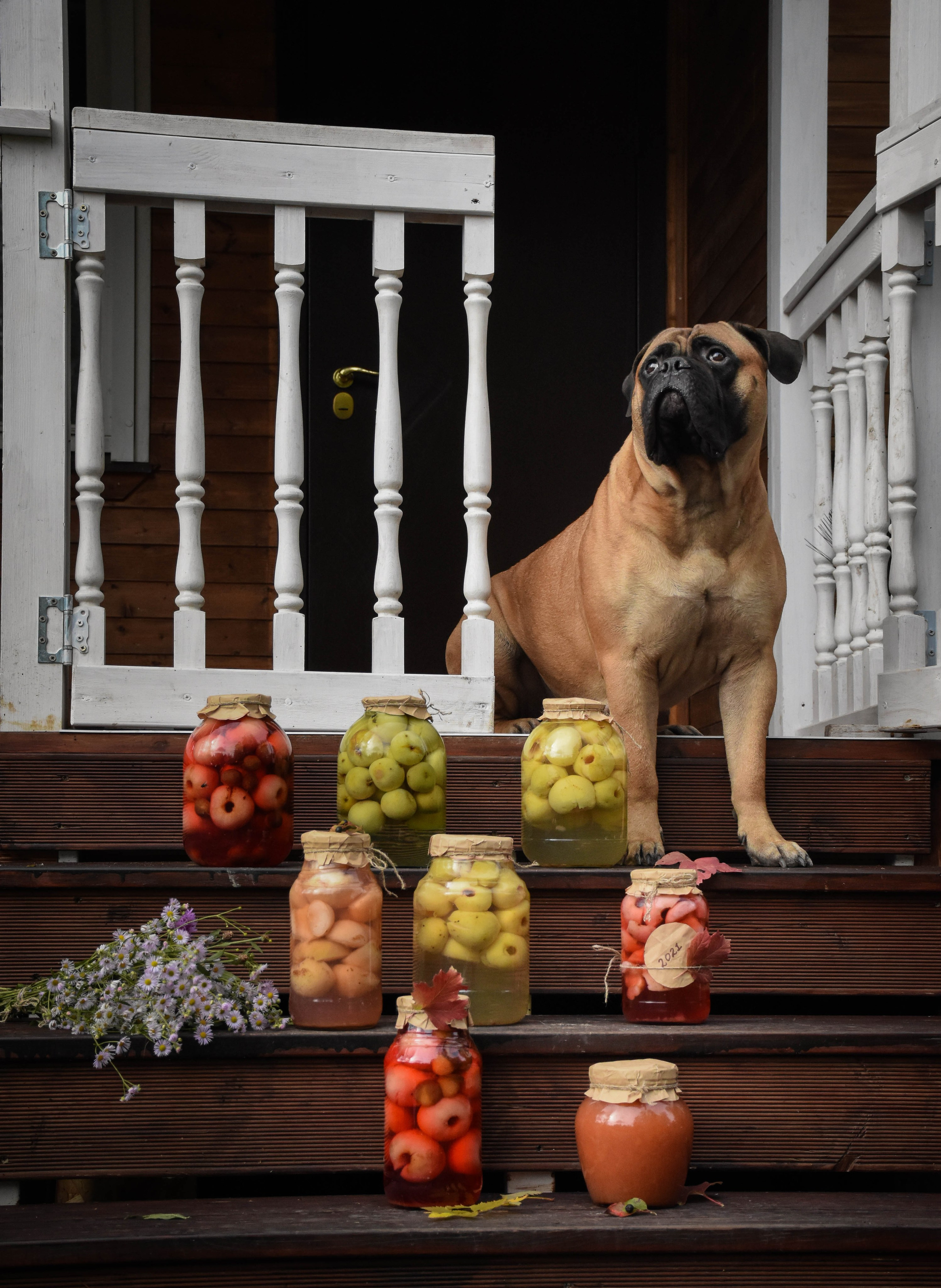 В созвучии с природой. Фотограф Светлана В. Пронина, Москва