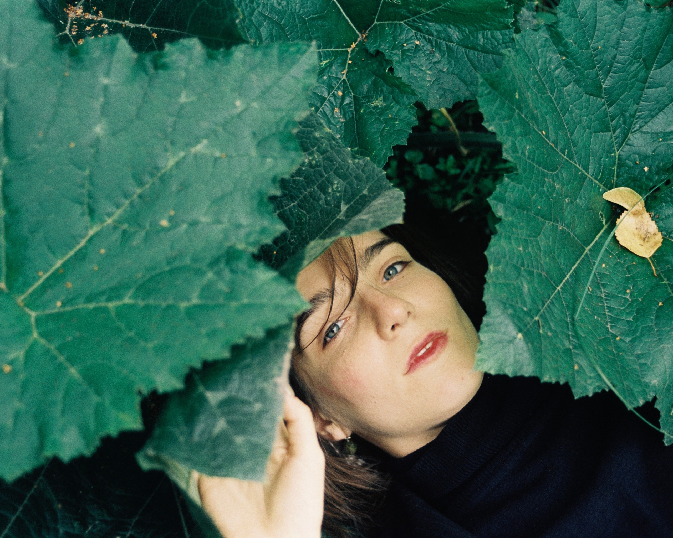 Док портрет