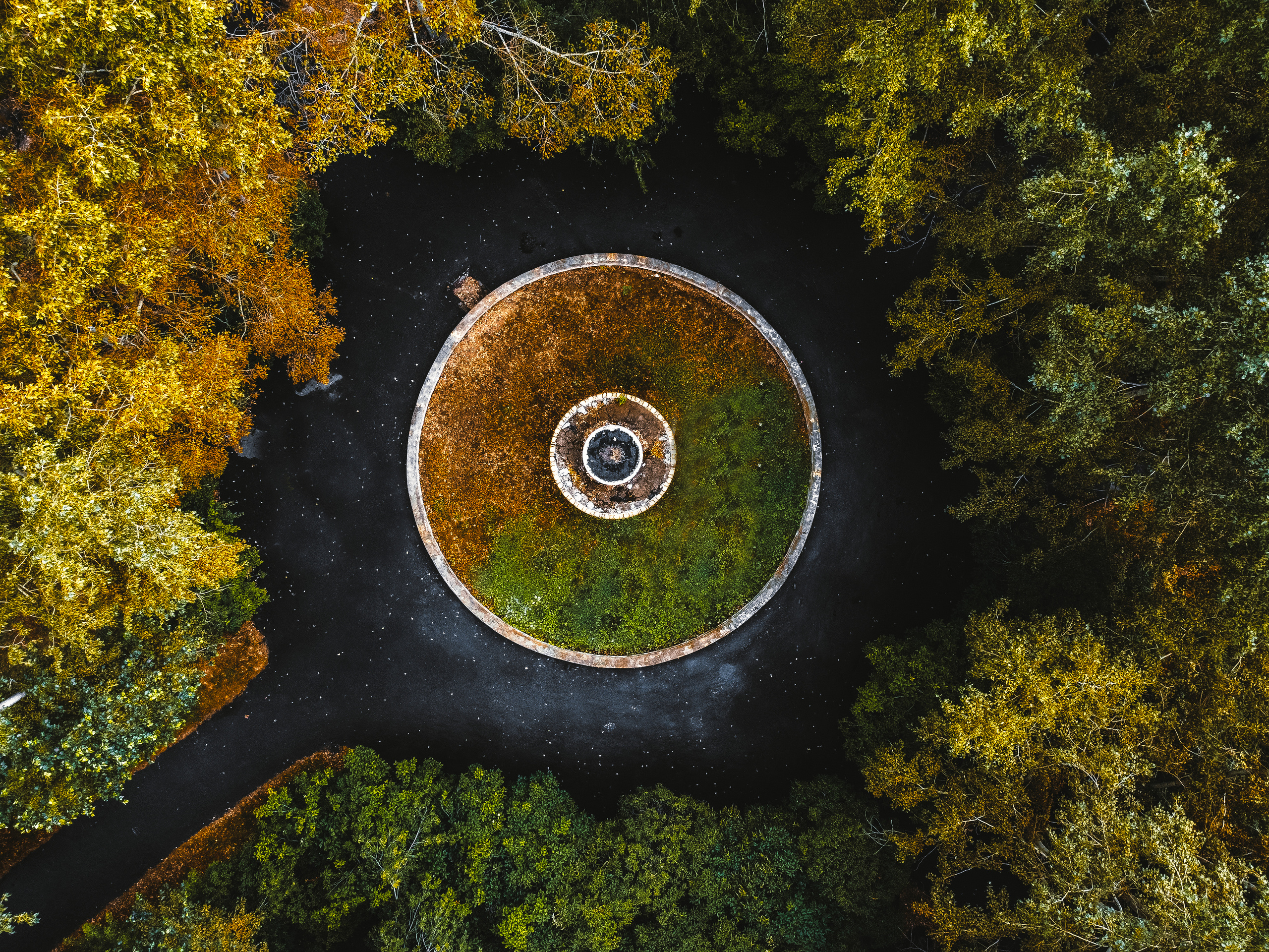 Фотографии с DJI Mavic Mini. Свадебный фотограф в Москве | Антон Матвеев