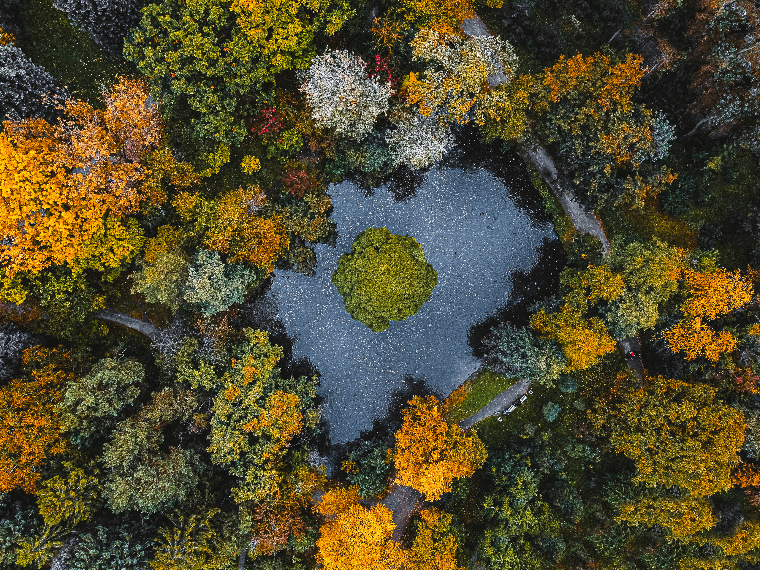 Фотографии с DJI Mavic Mini. Свадебный фотограф в Москве | Антон Матвеев