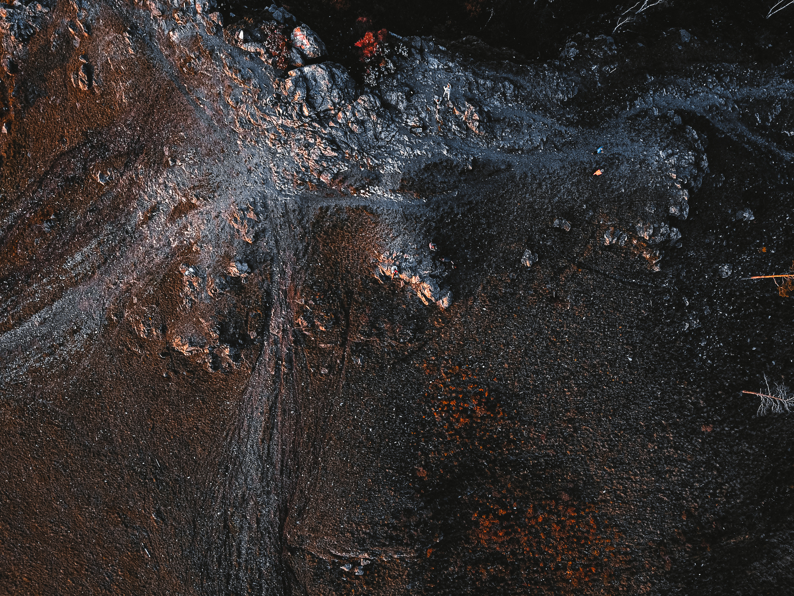 Фотографии с DJI Mavic Mini. Свадебный фотограф в Москве | Антон Матвеев