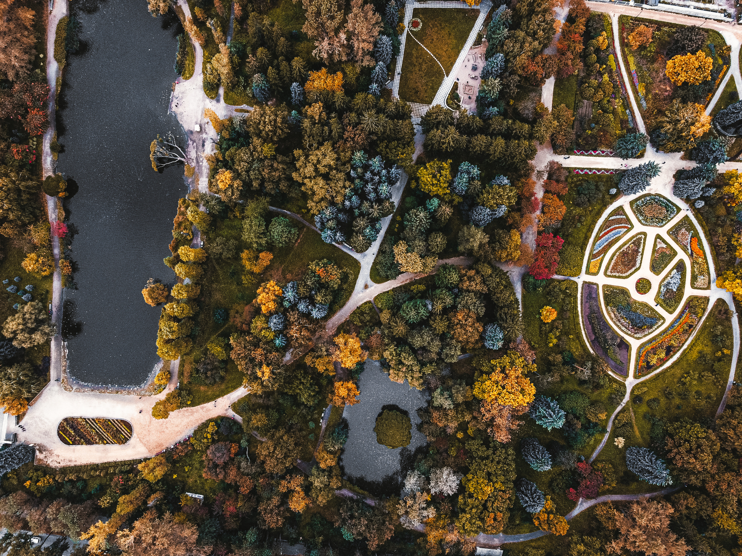 Фотографии с DJI Mavic Mini. Свадебный фотограф в Москве | Антон Матвеев