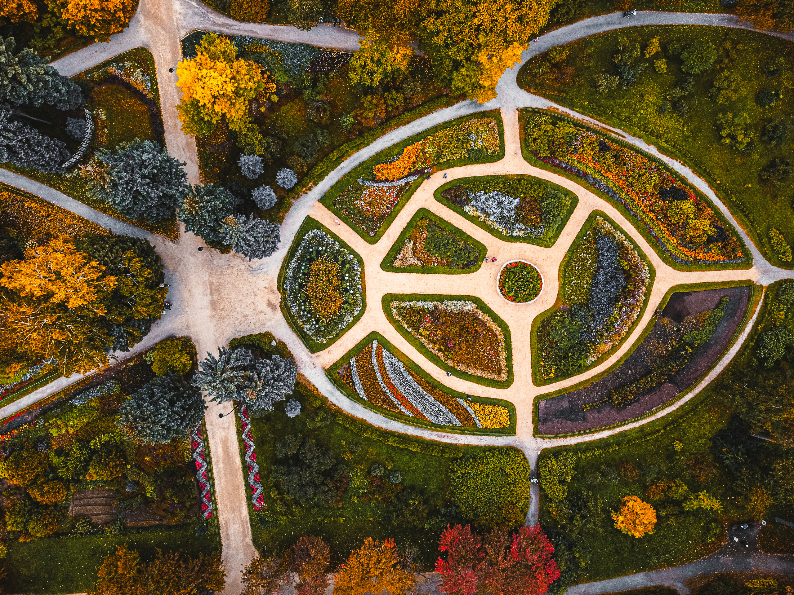 Фотографии с DJI Mavic Mini. Свадебный фотограф в Москве | Антон Матвеев