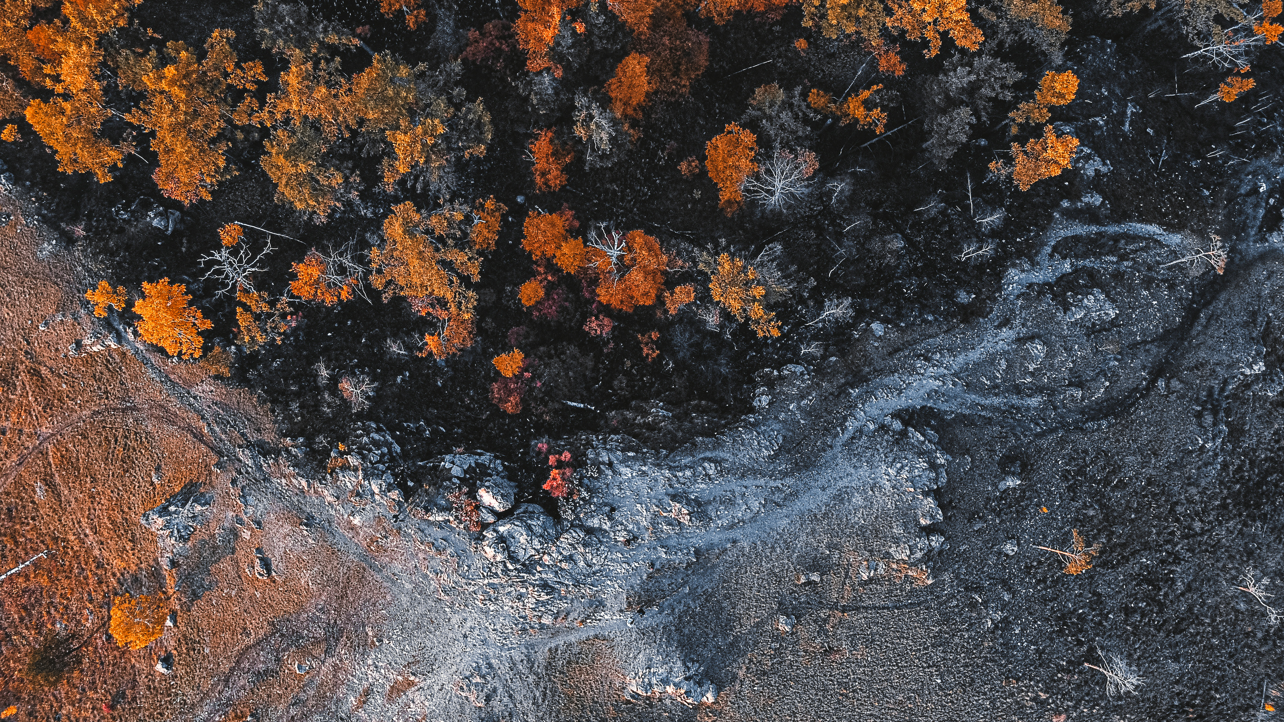 Фотографии с DJI Mavic Mini. Свадебный фотограф в Москве | Антон Матвеев