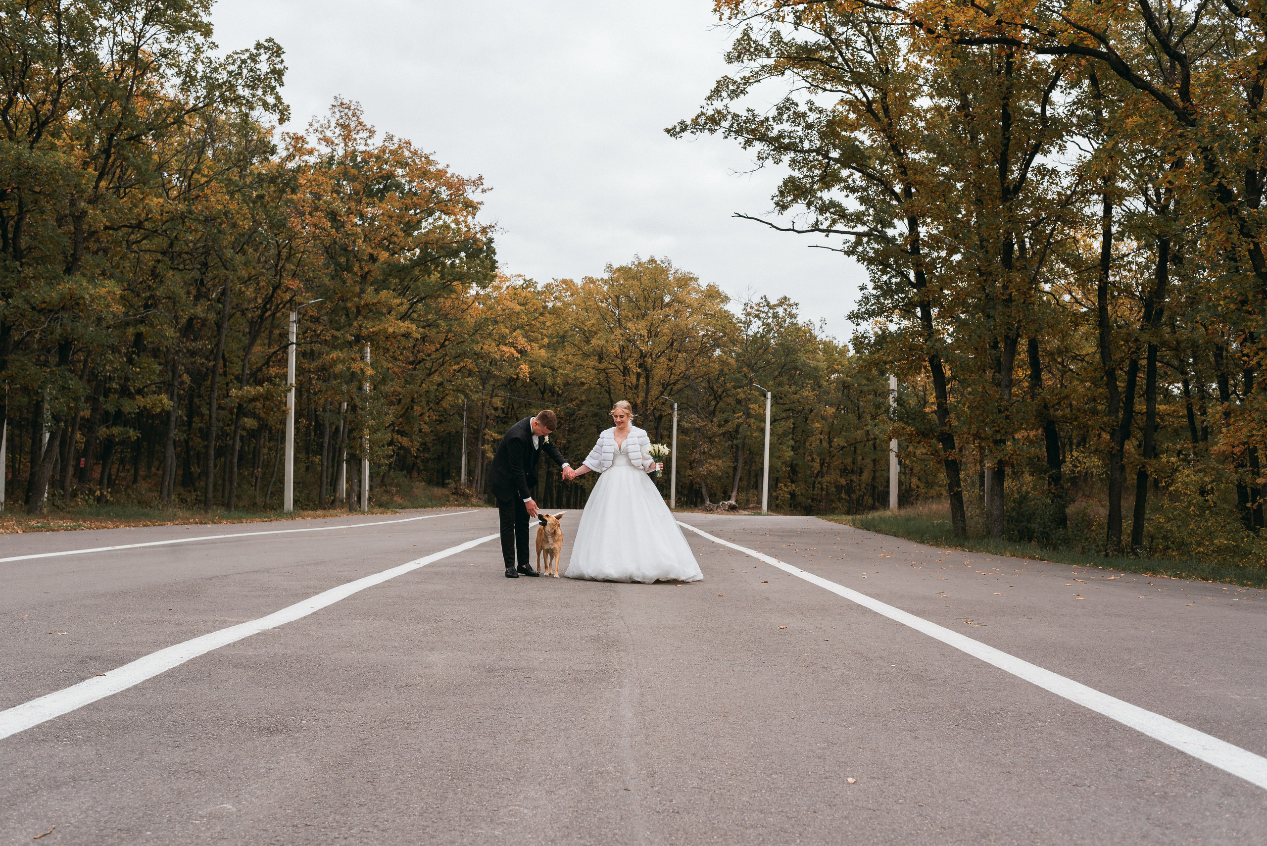 Незабываемая осень Игоря и Вероники. Свадебный фотограф — фотограф на свадьбу в Воронеже — Свадебное фото