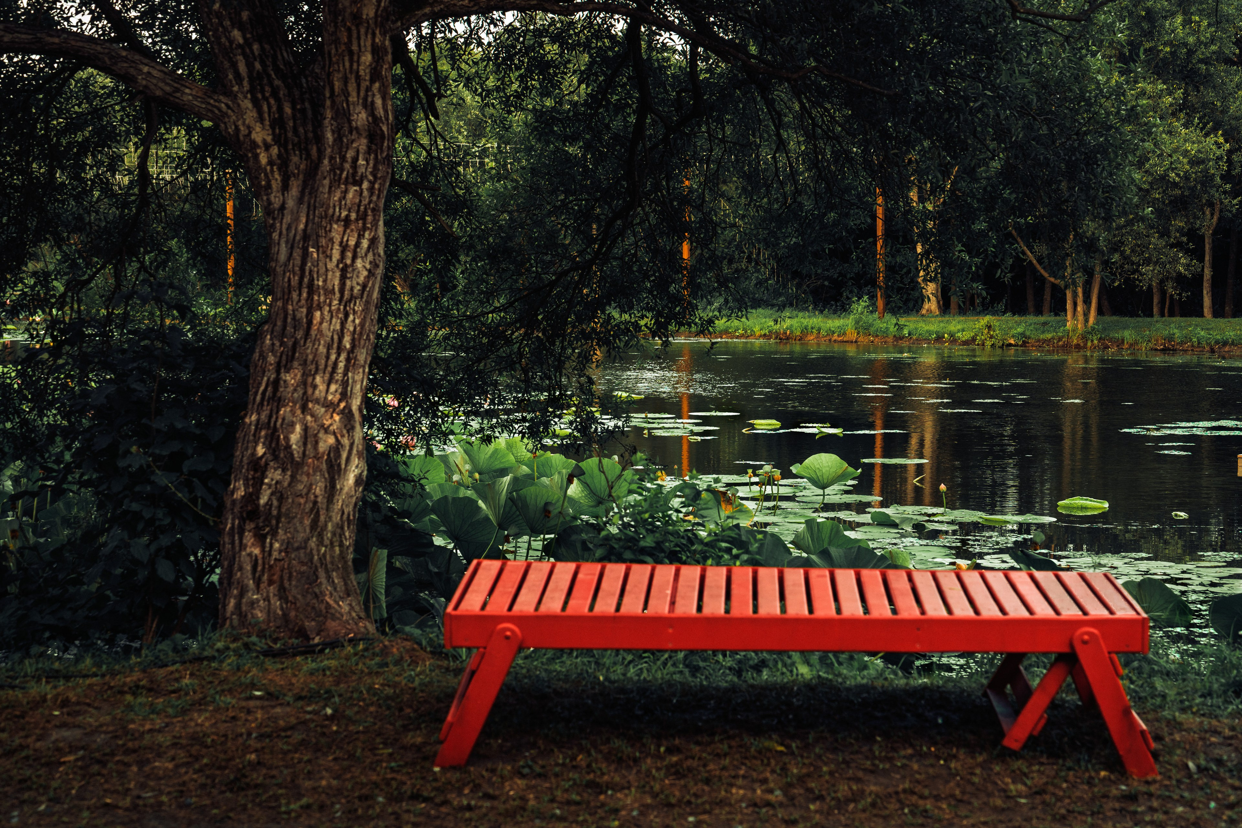 Пруд «Семейный» | с. Петровка. Иван Зайцев (IZIART) — создание культурного кода через фото и видео