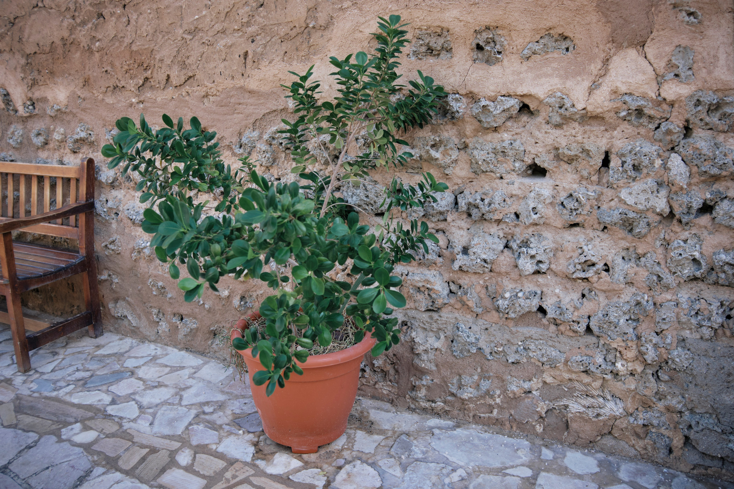Дубай. Елена Павленко. Фотограф. Москва