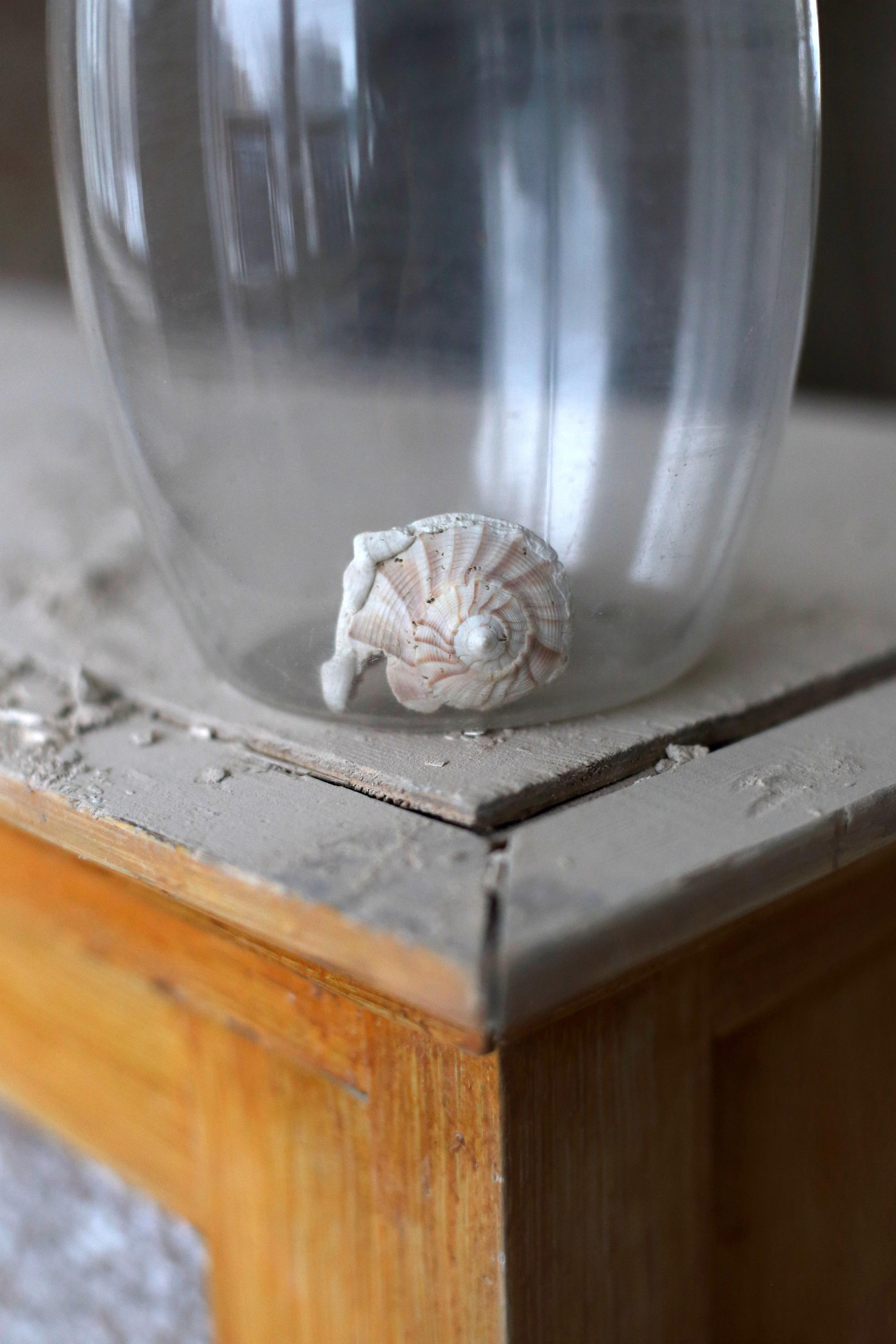 Присутствие. Екатерина Васильева художник, куратор и преподаватель