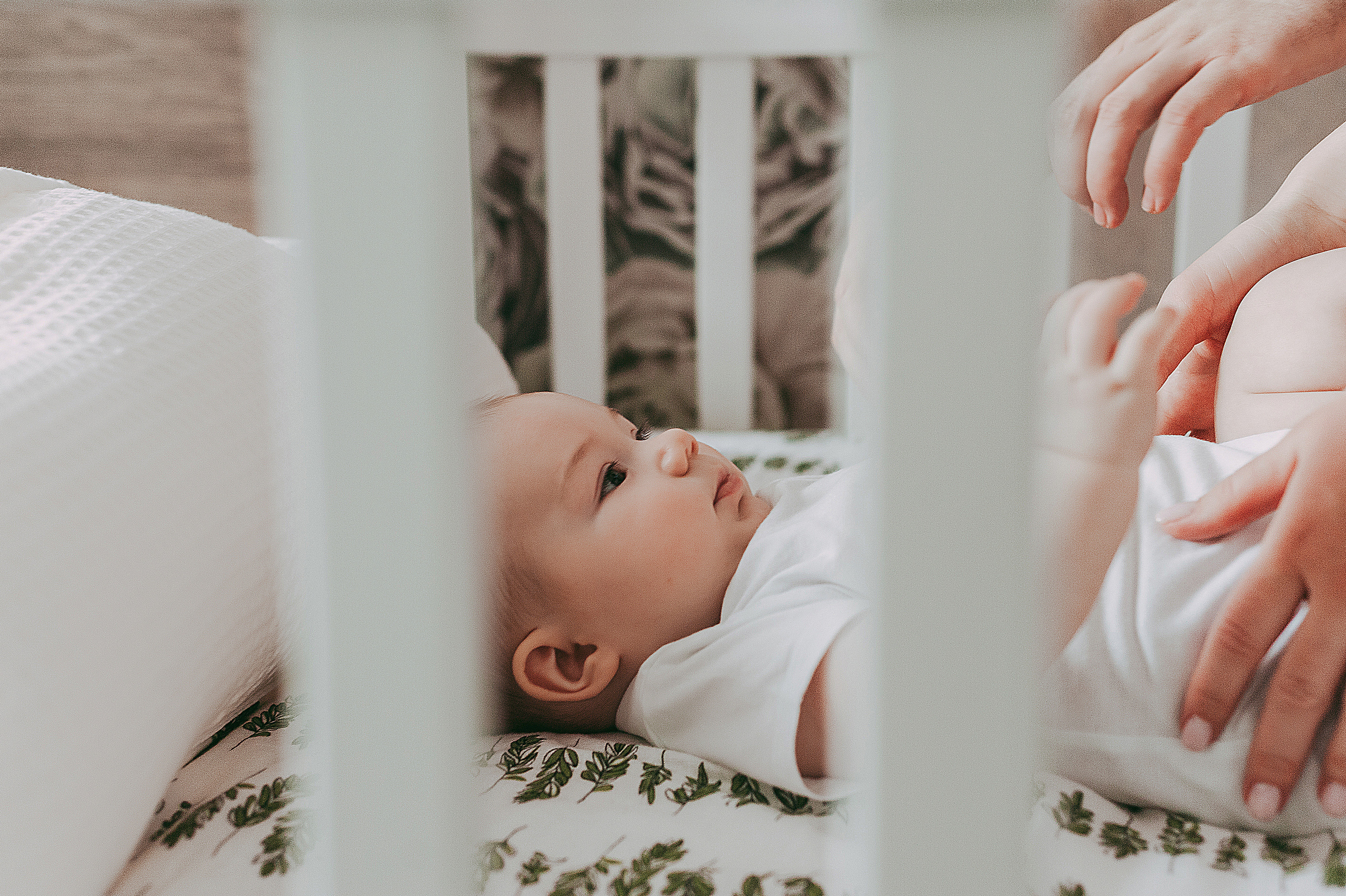 Домашняя история Артёма. Свадебный и семейный фотограф в Ростове-на-Дону Алина Астахова