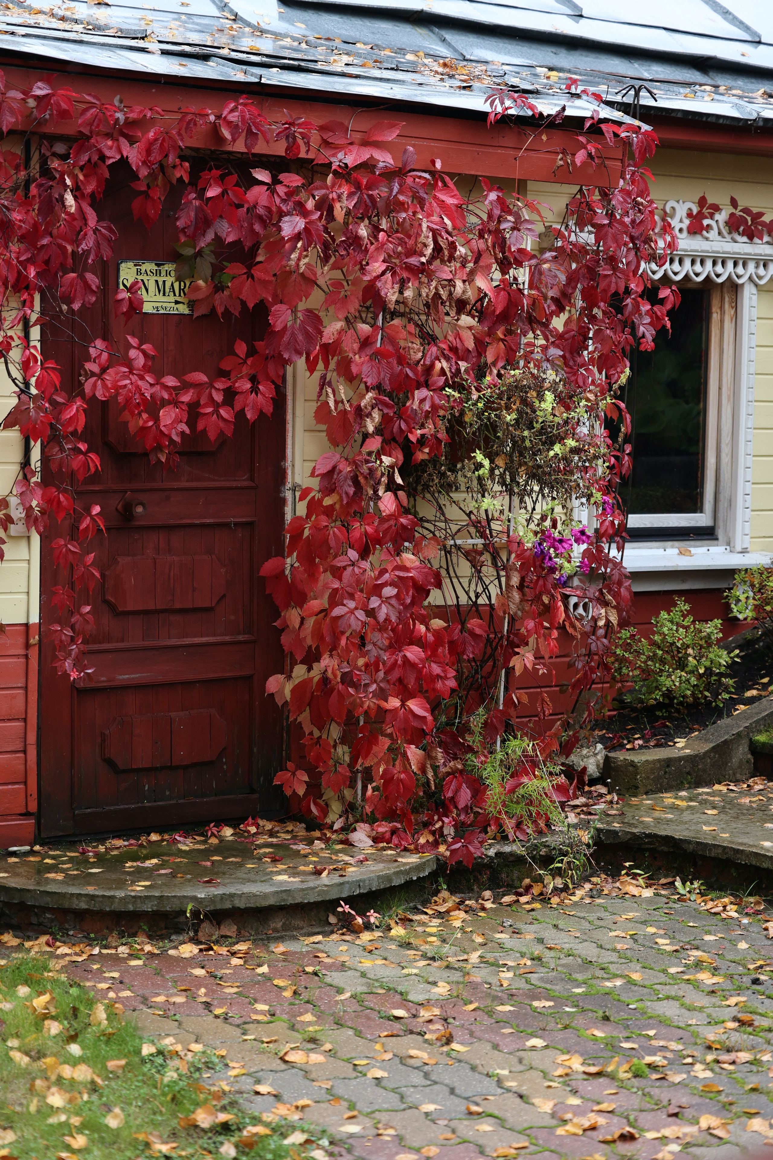 Плёс. Фотограф Виктория Волкова. Москва