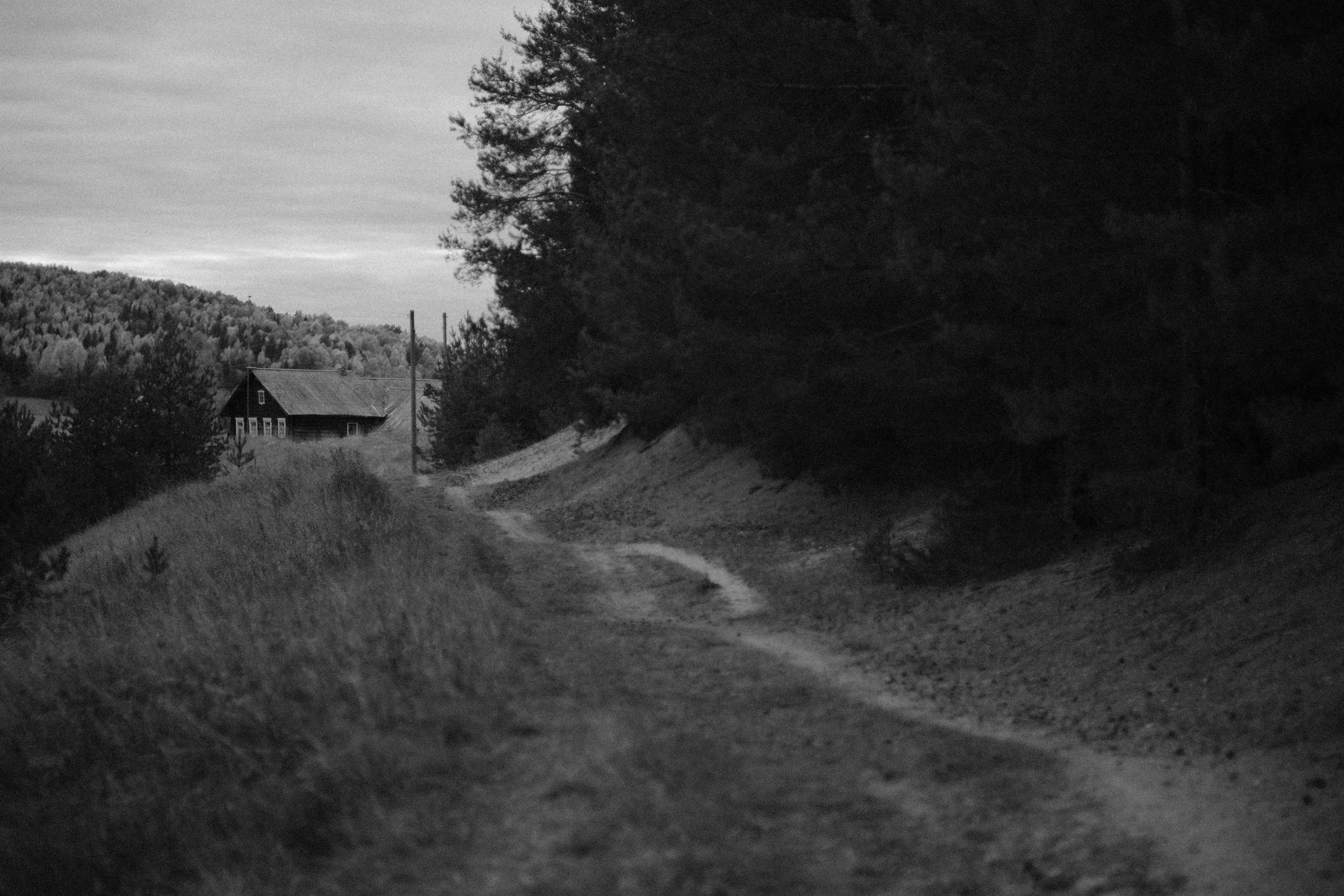 Русский север 27.09.25 — 05.10.25. Фотострелка