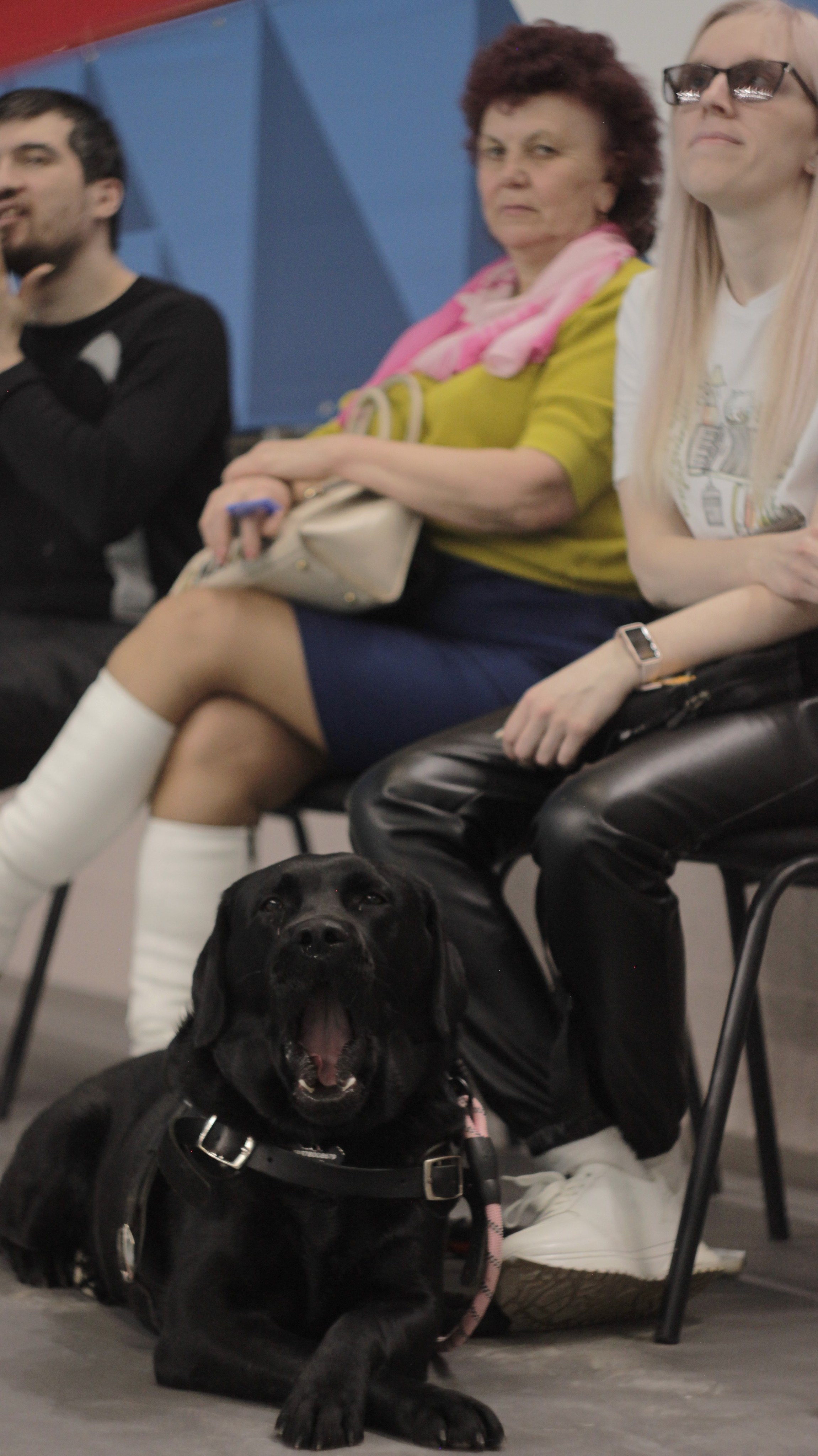 Волейбольный матч Протон (Саратов) vs Заречье (Московская область). Фотокрыжовник. Снимаем, дружим, путешествуем