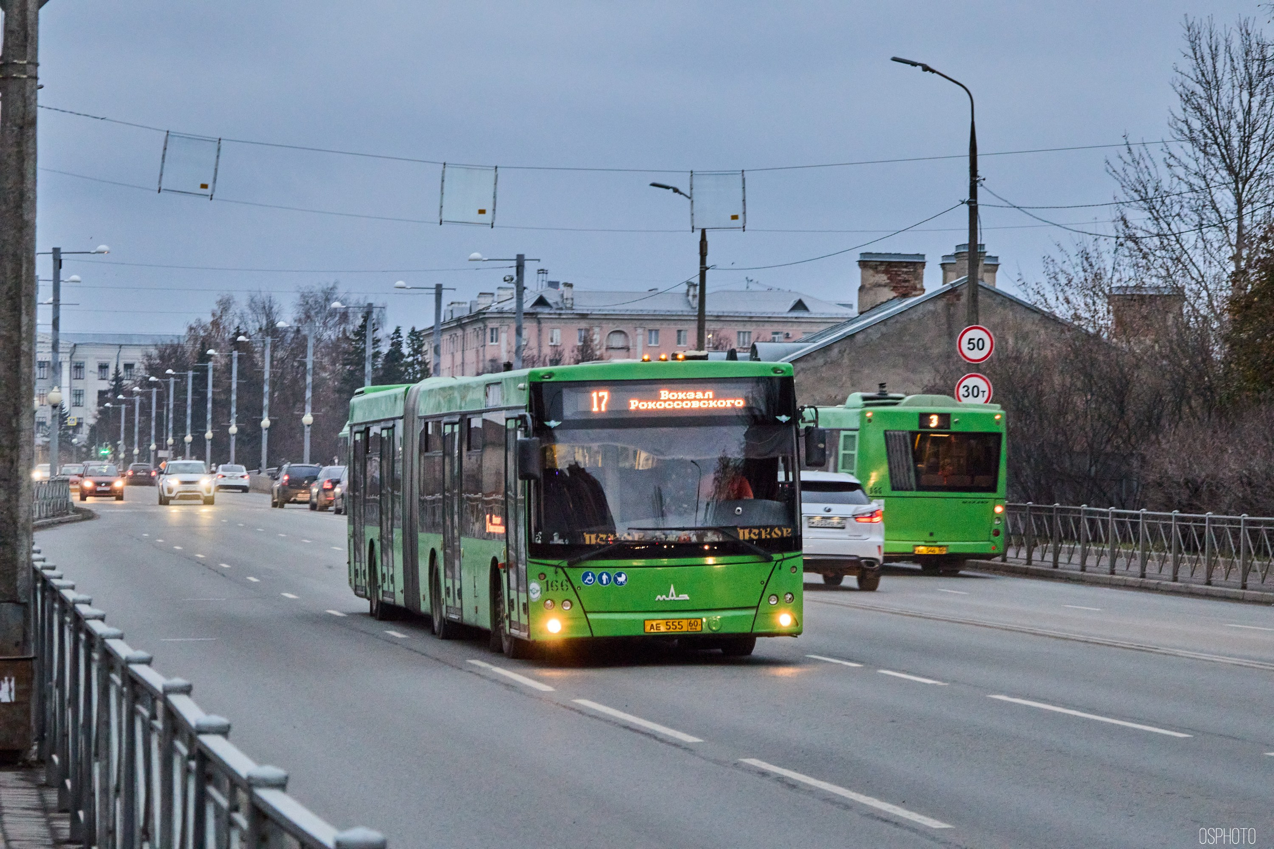 Псков. Ноябрь. Фотографъ Сергѣевъ. Поймать мгновеніе