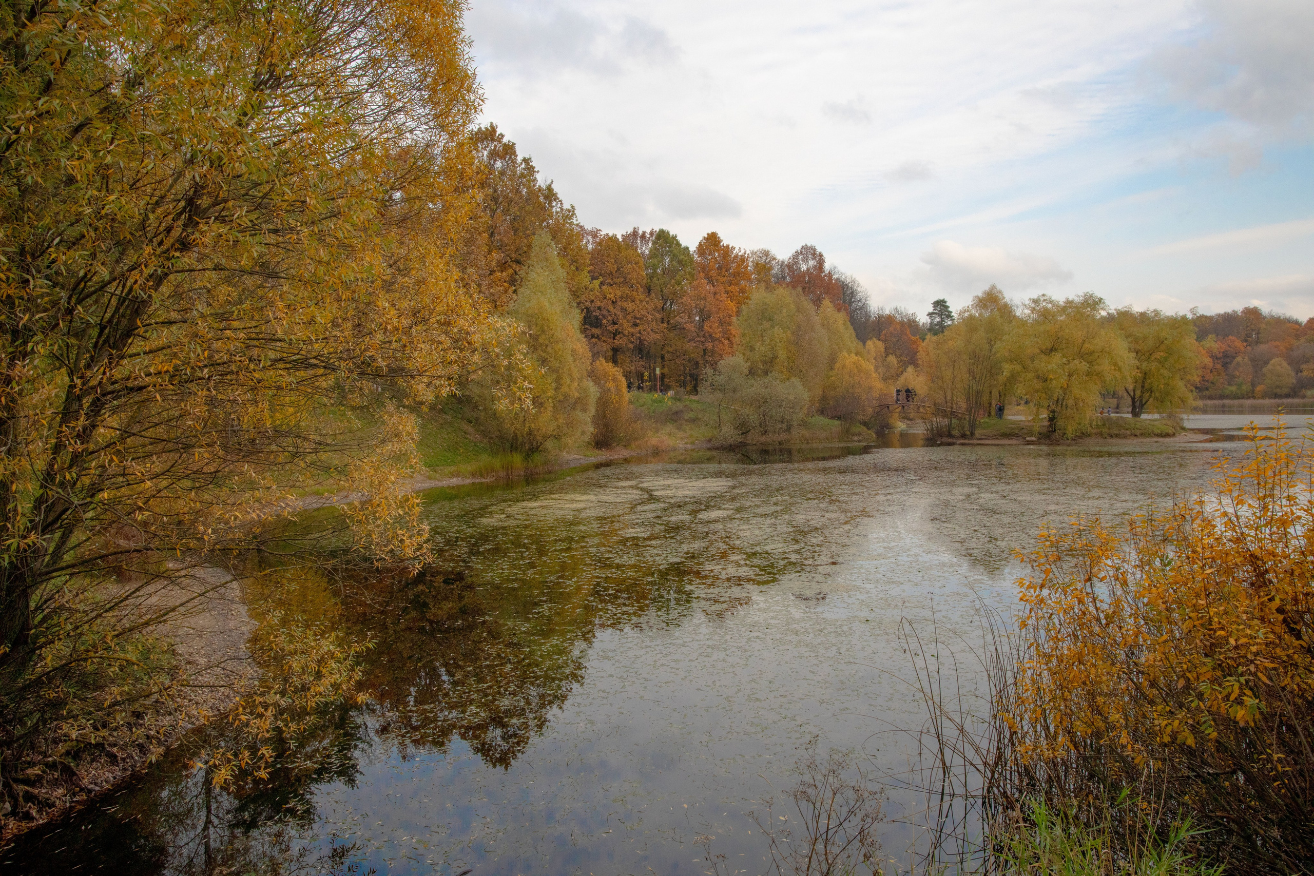 Осень. Свадьбы, портретная, предметная съемка. Фотограф Александр К
