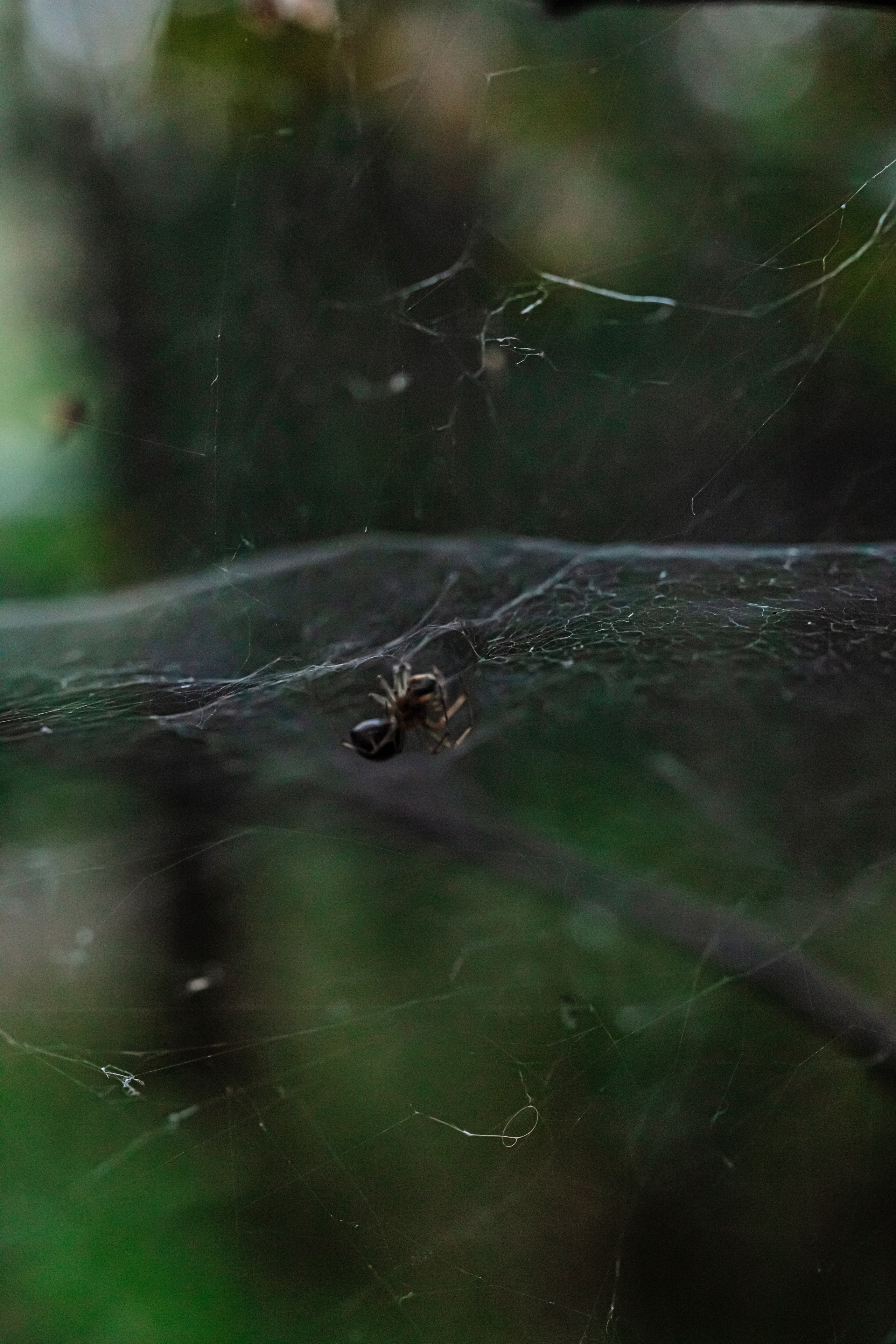 Green. Фотограф Олеся Кавлакан