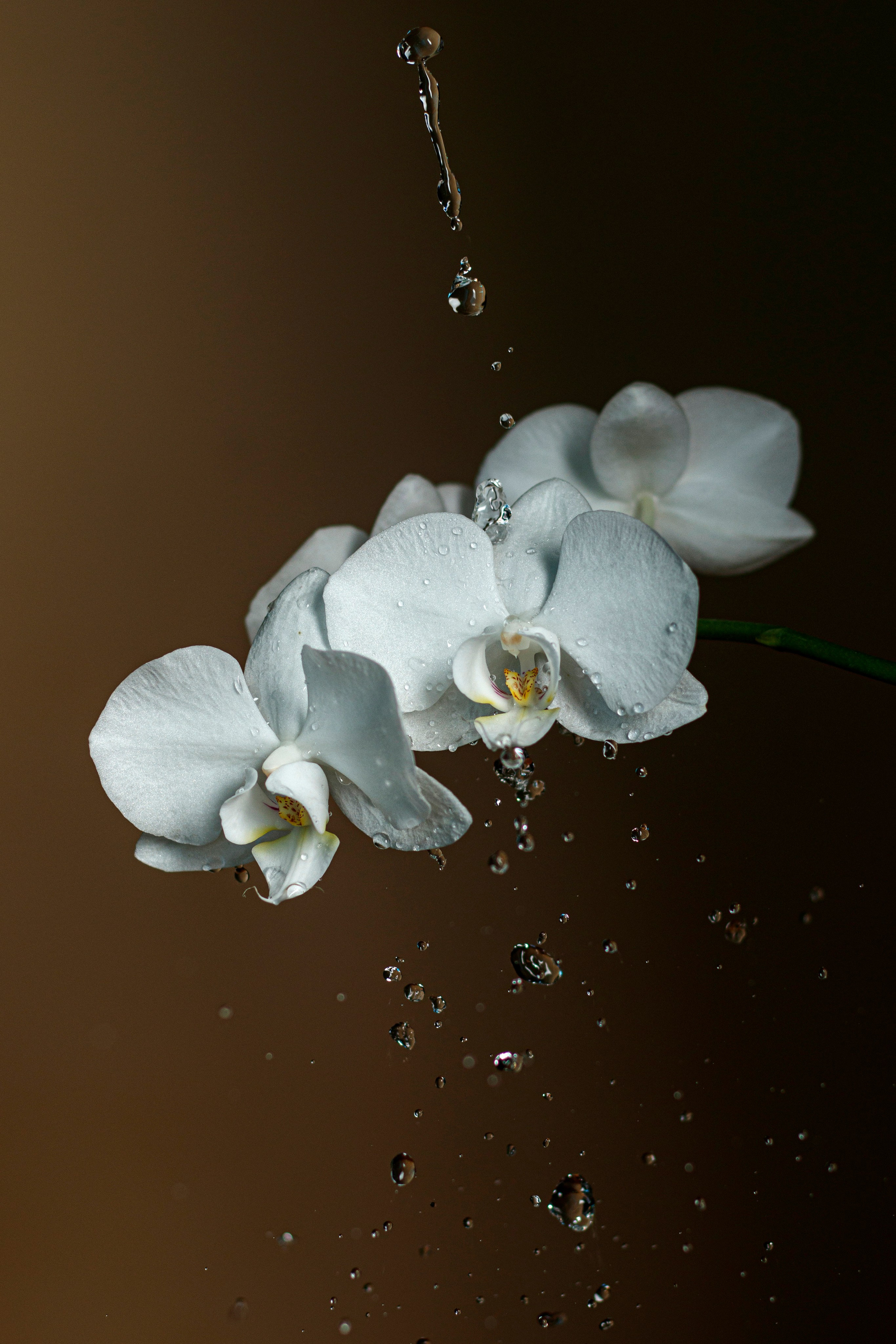 Marketplace Photography – Product Images Optimized for Online Sales