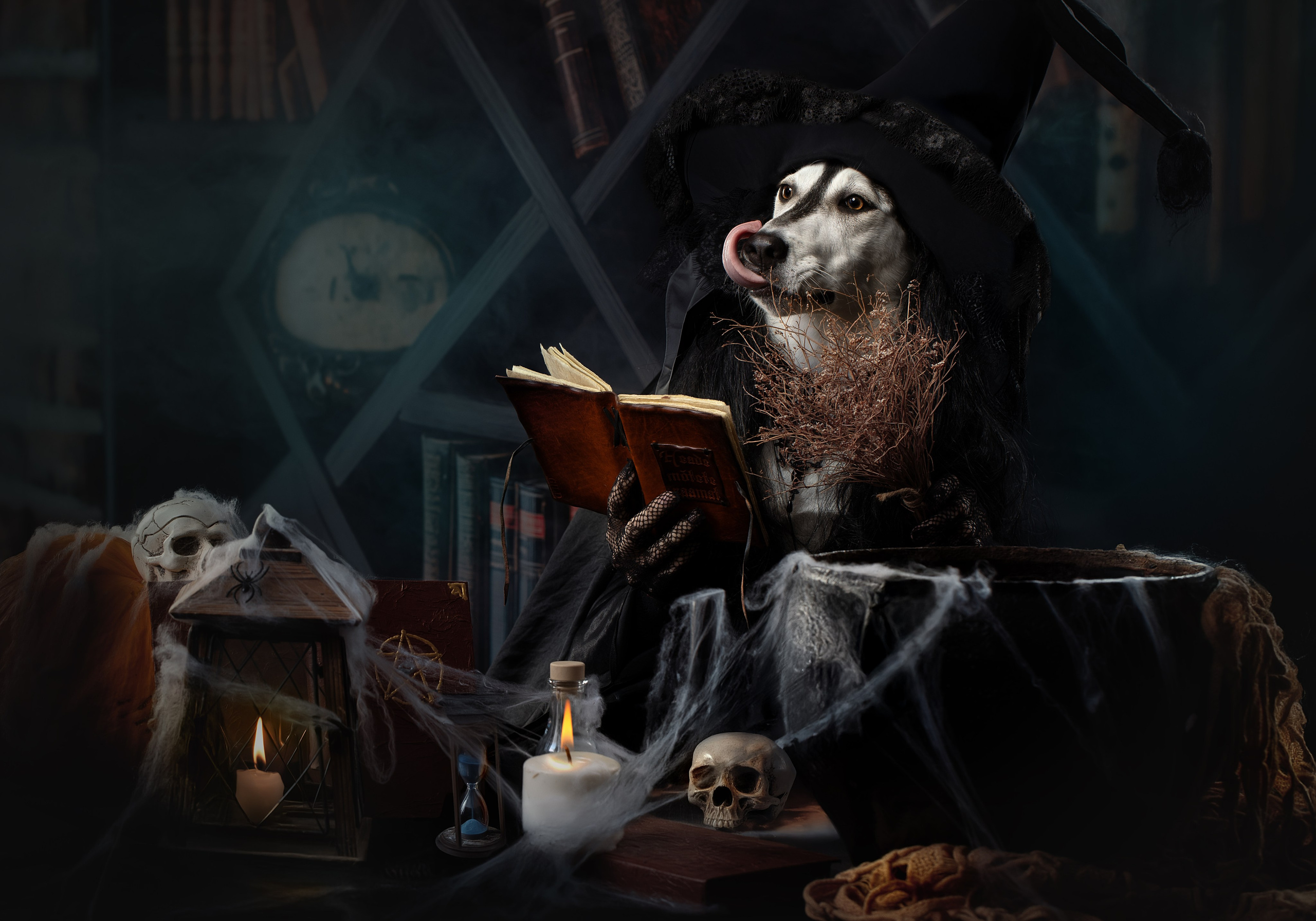 Фотограф анималист в Санкт-Петербурге Светлана Писарева