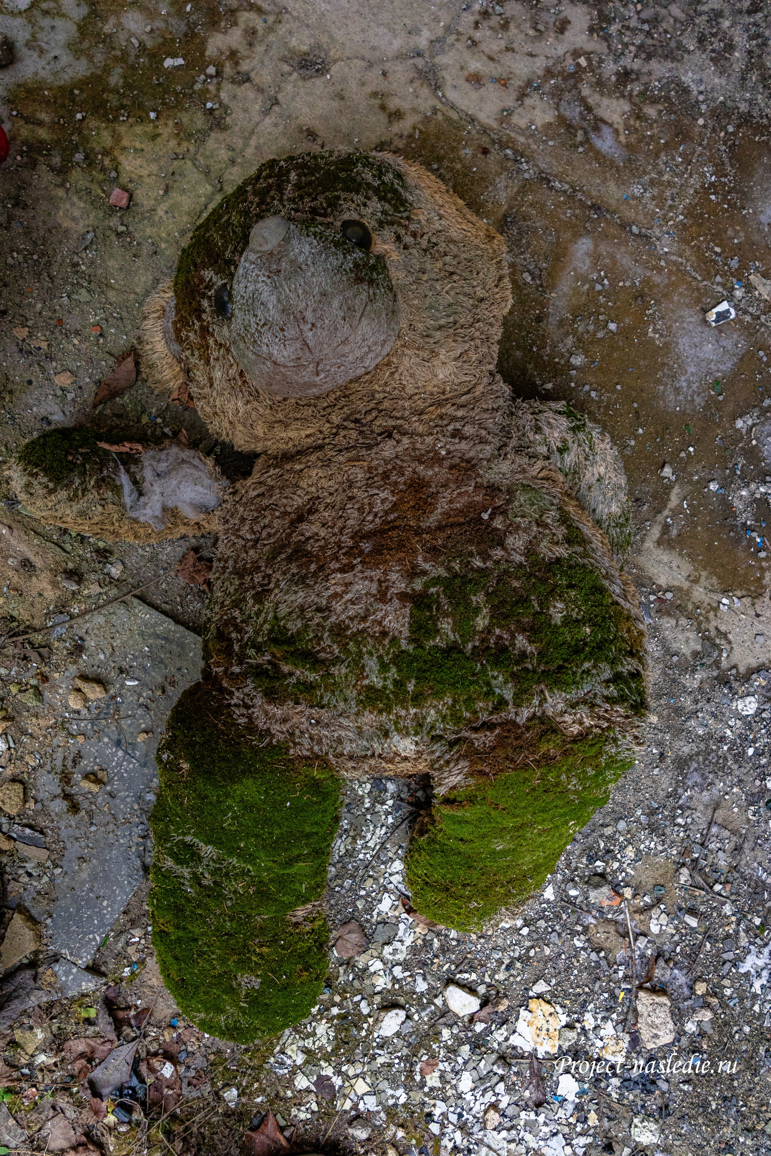 Заброшенные объекты культурного наследия России и уникальные памятники архитектуры | Проект «Наследие»