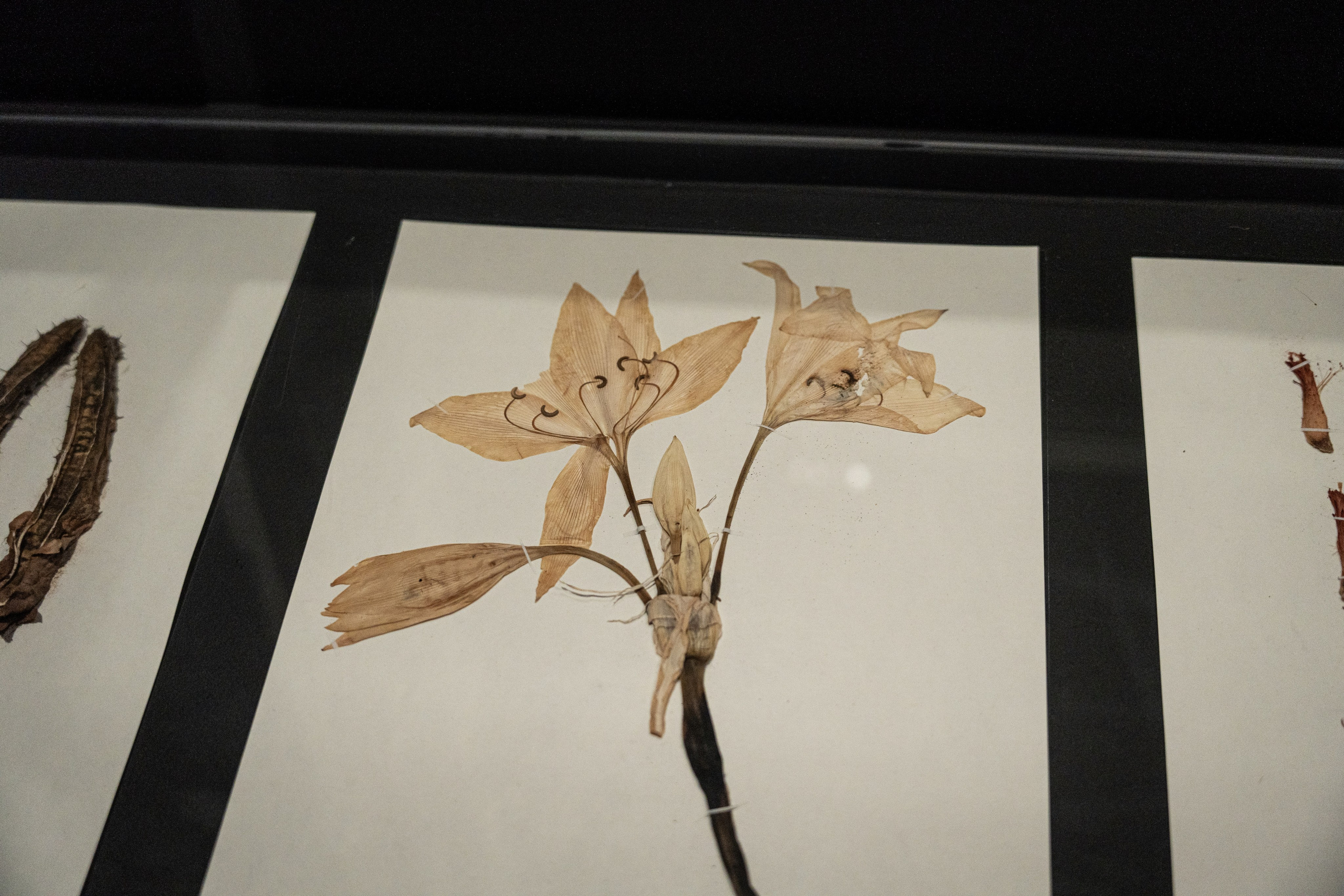 Марокко. Илья Варин — Фотограф Москва, Тверь