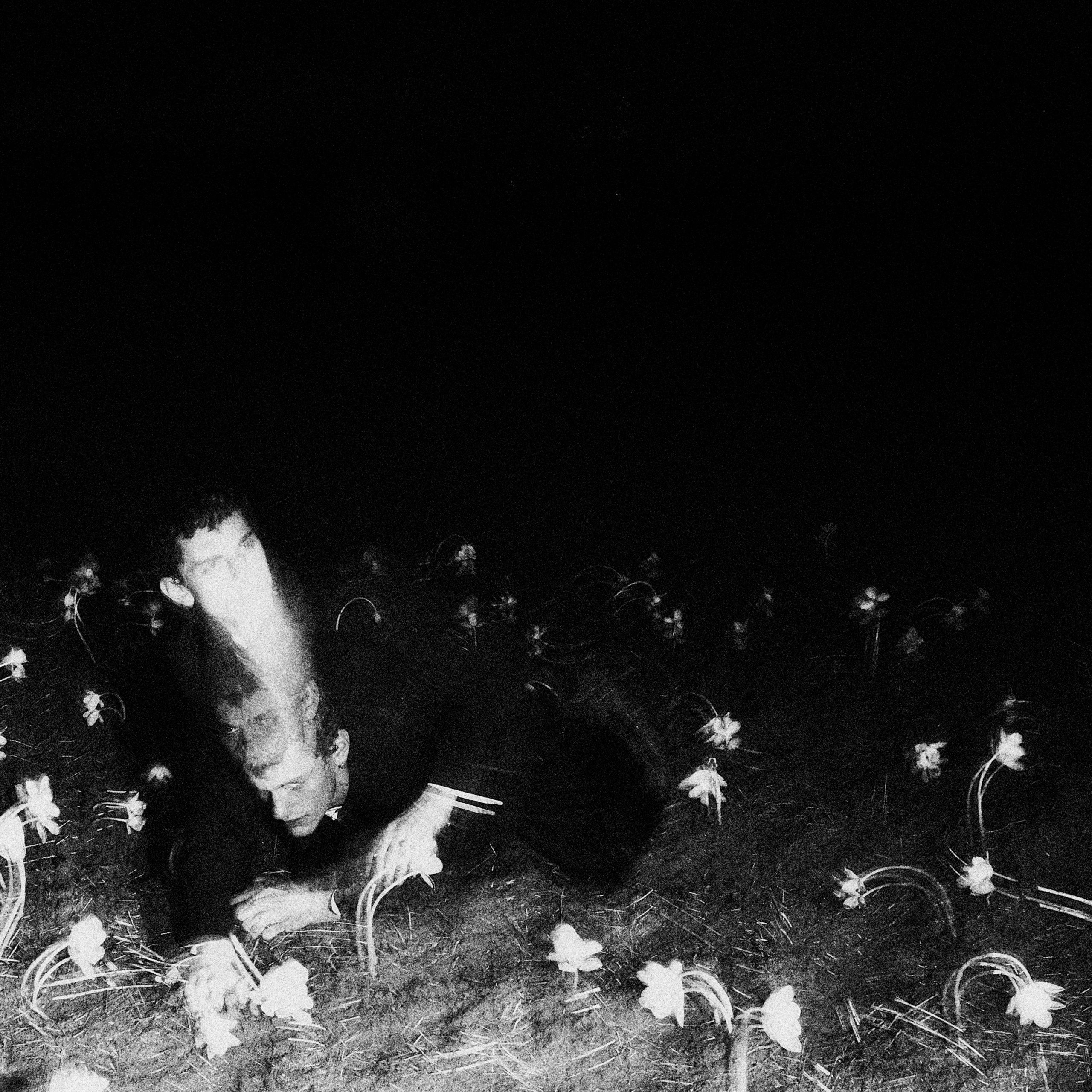 Виолетта и Александр. Свадебный и семейный фотограф в Иваново и Москве Мильков Вадим