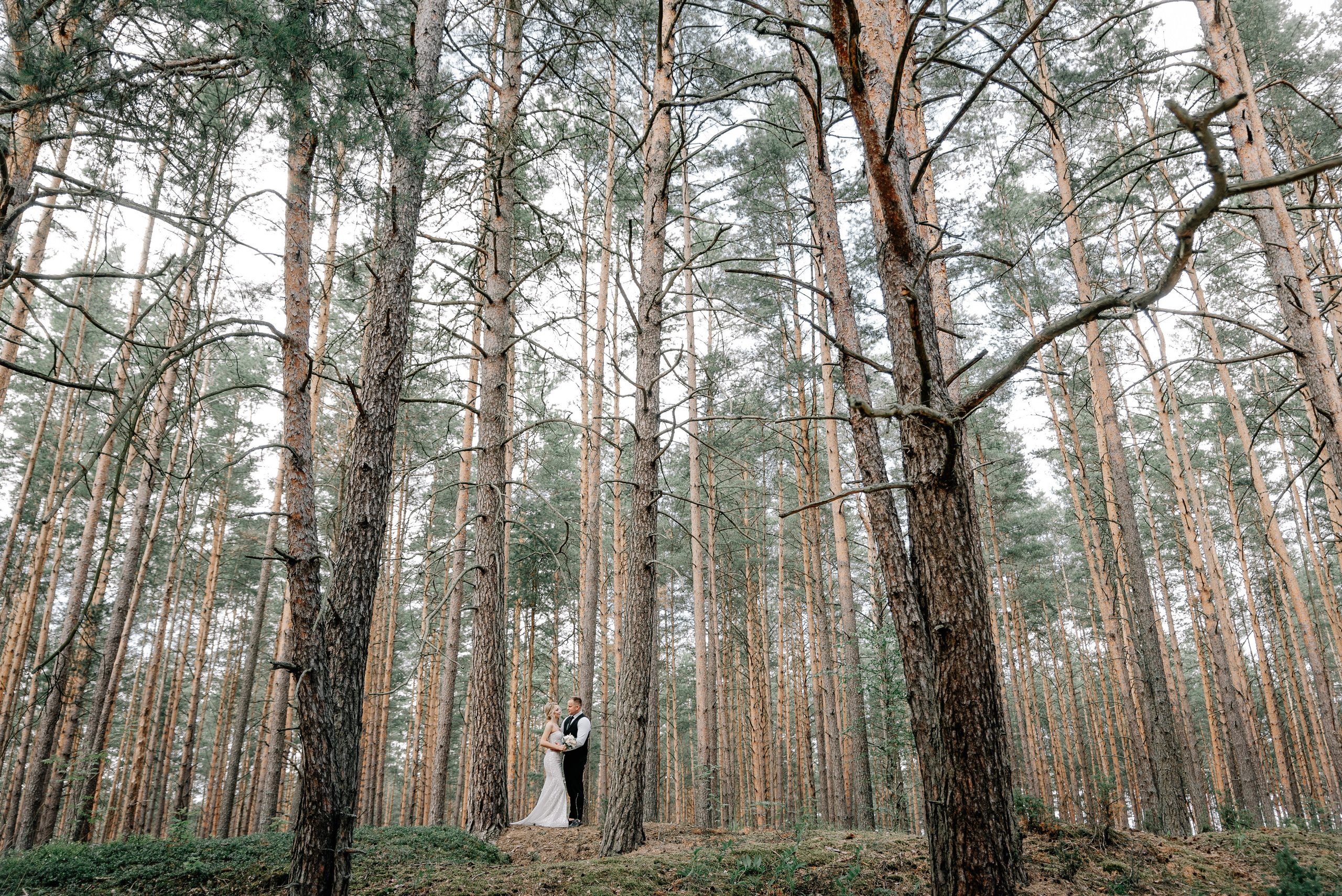 Свадьба в Новополоцке. Фотограф Тривашкевич Александр