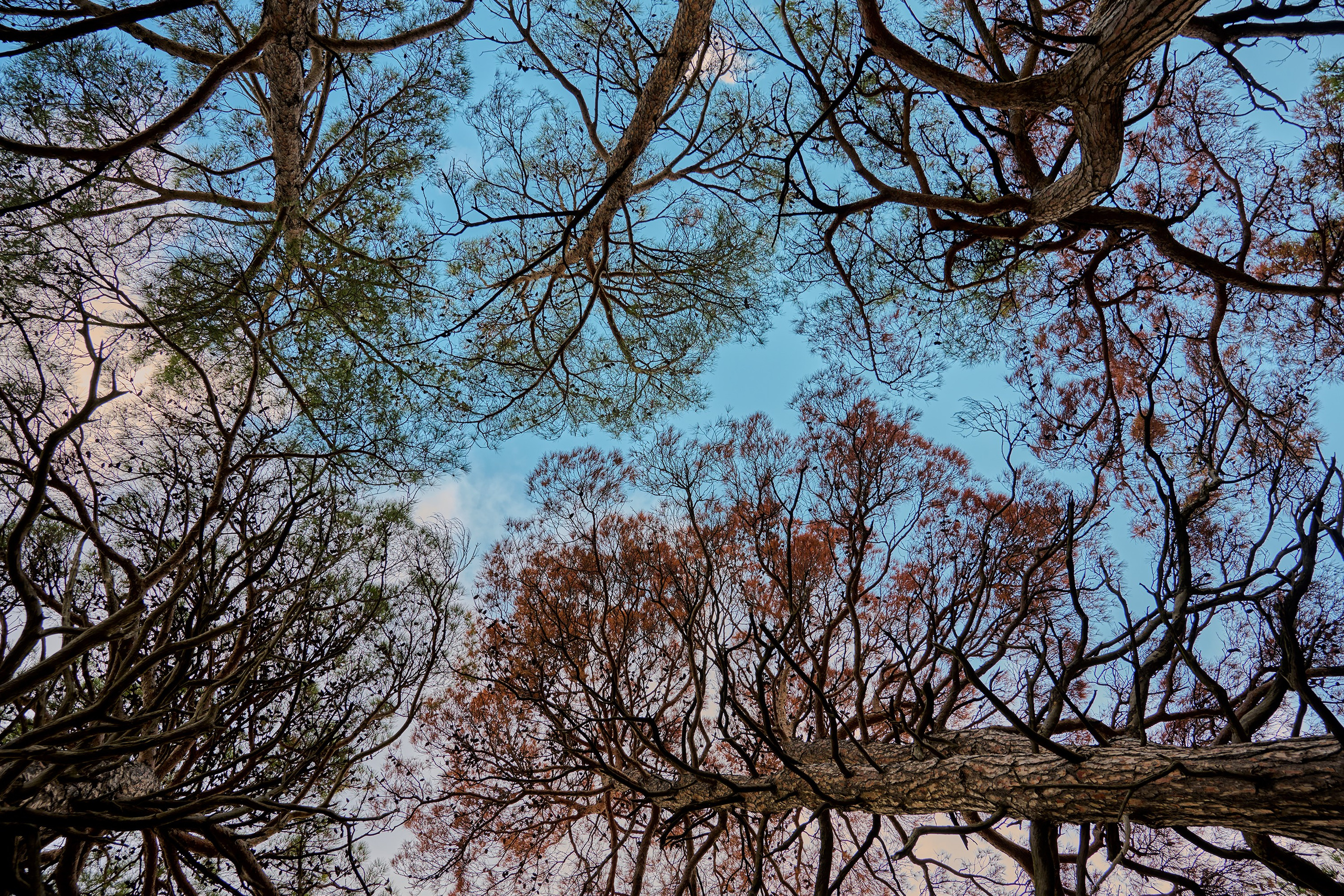 Пейзажи. Яркие фото на Чёрном море