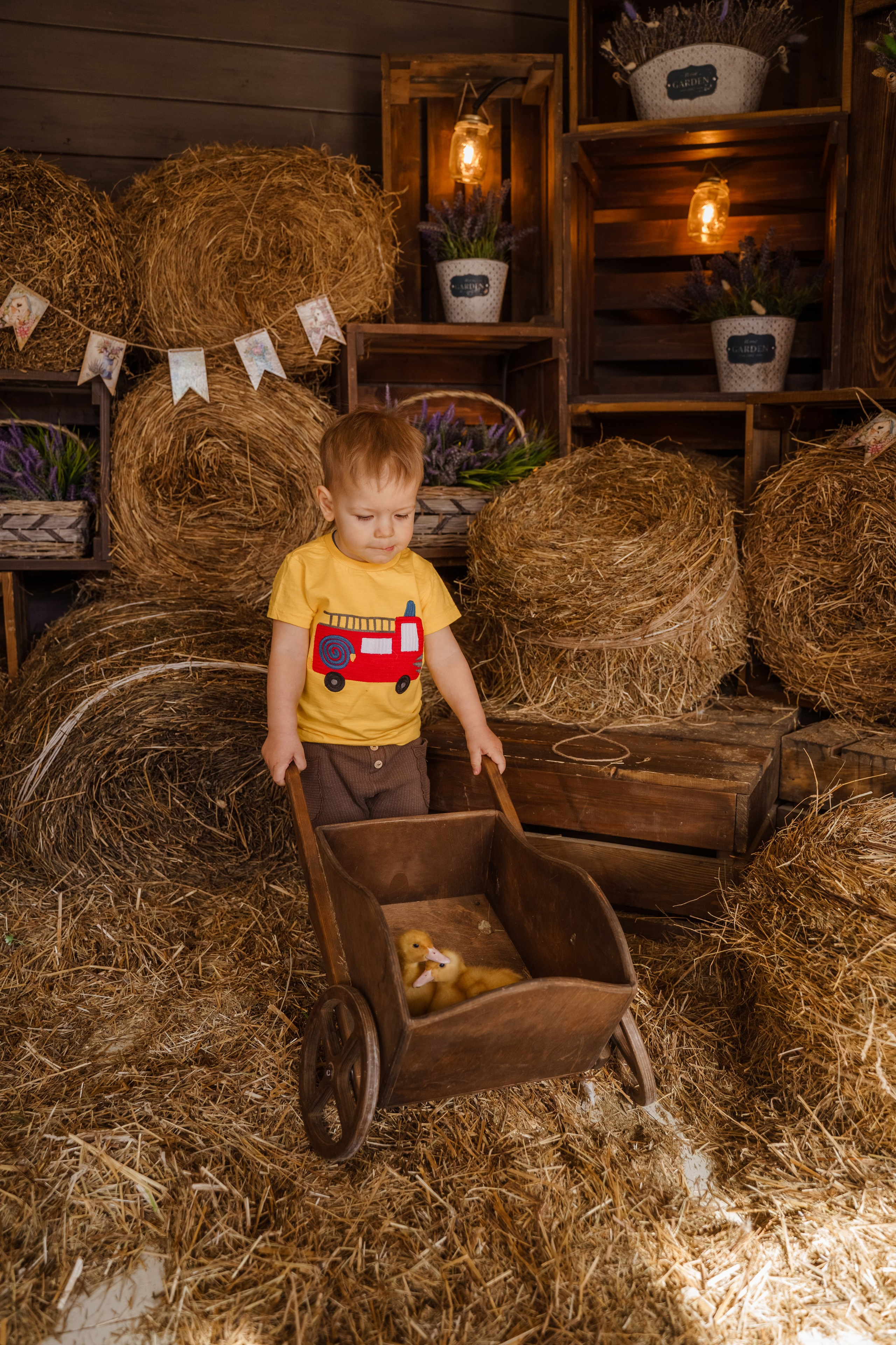 Фотосессия с утятами в студии