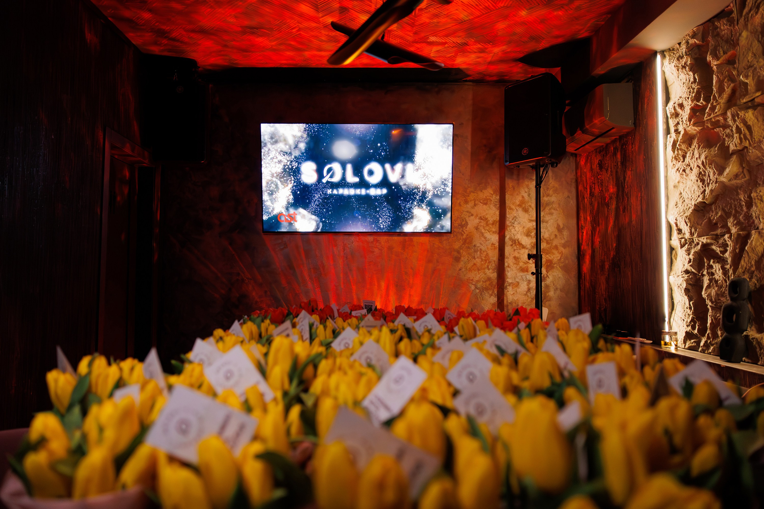 SOLOVI — 8 МАРТА. СВОИ. ФОТООТЧЕТЫ-СОБЫТИЯ-МЕСТА