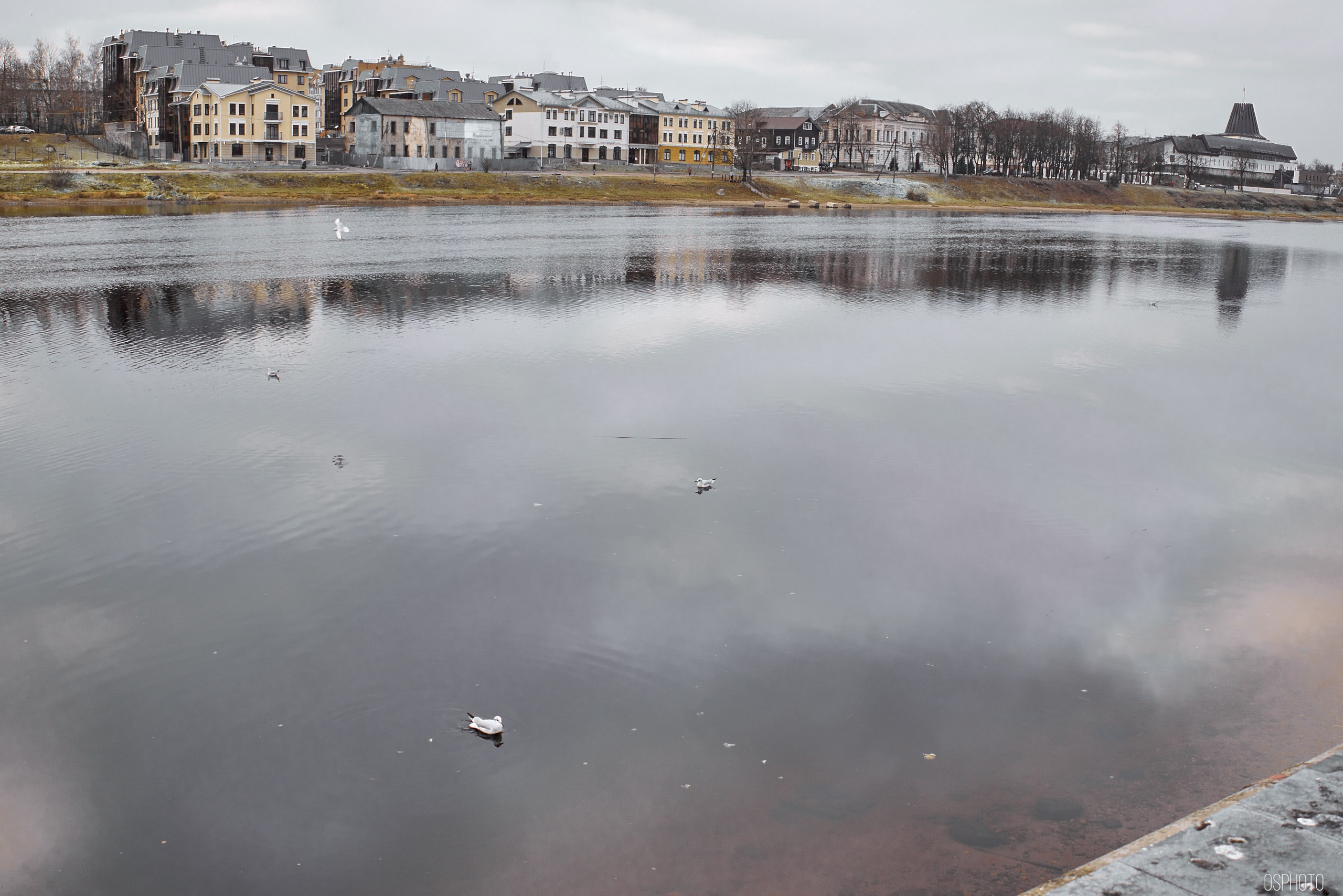 Псков. Ноябрь. Фотографъ Сергѣевъ. Поймать мгновеніе