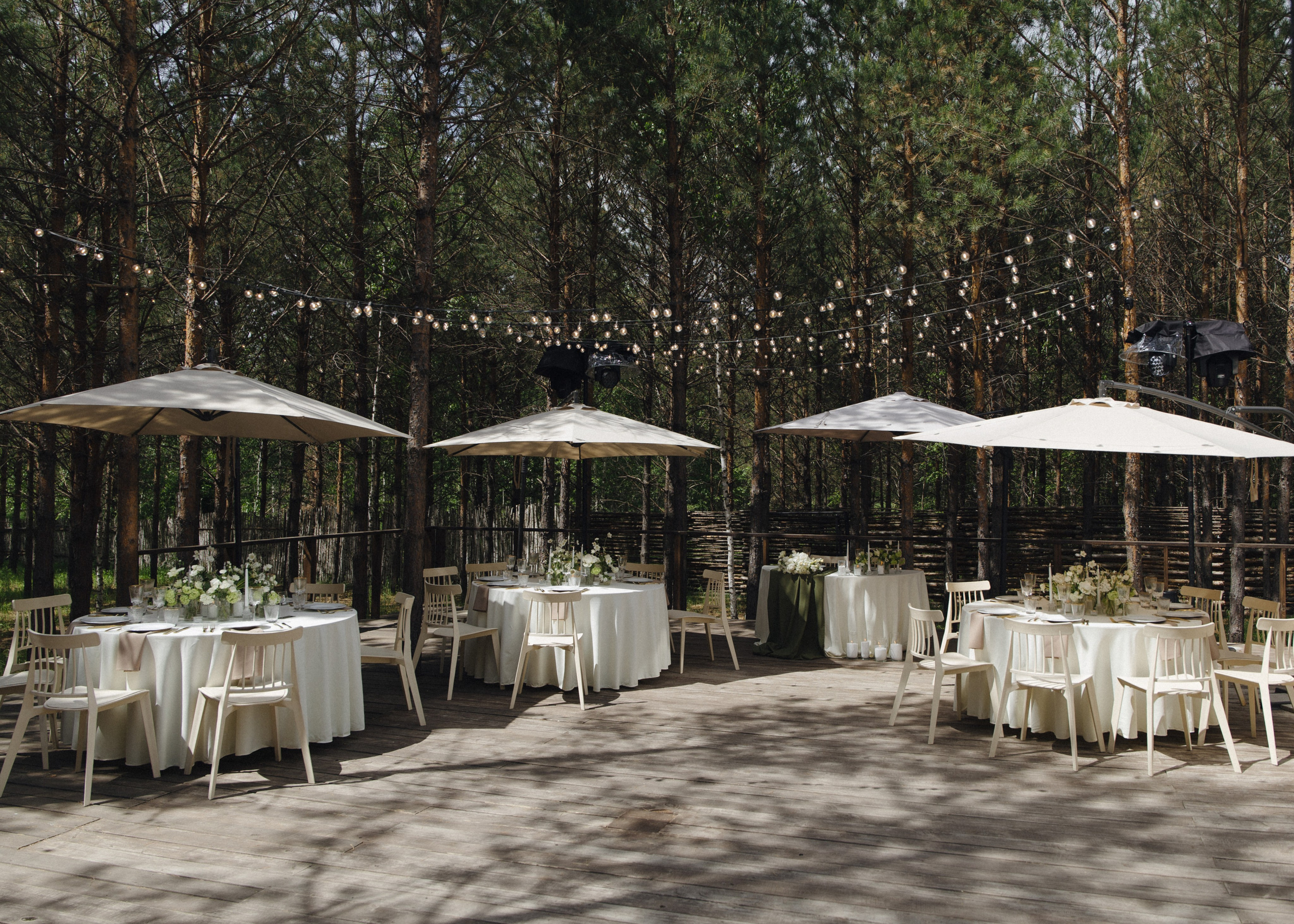 Свадьба в лесу Владислава и Светланы. Свадебный организатор Марина Корсакова, Барнаул, Бийск, Алтайский край, Горный Алтай, Новосибирск