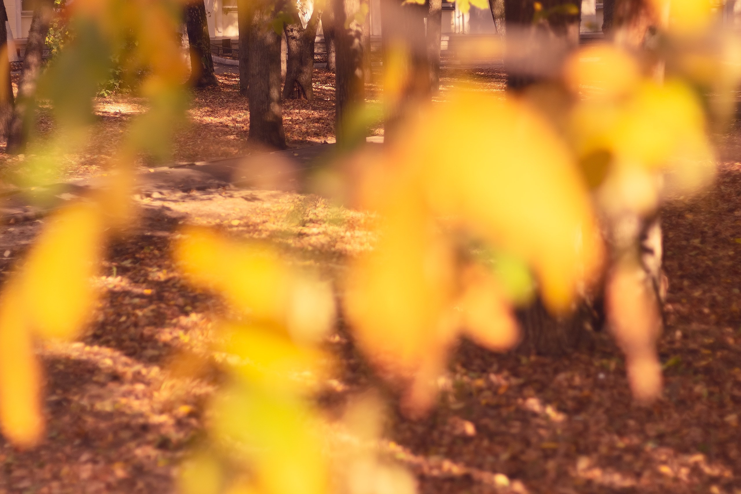 Шагни в мир яркости. Аmat Victoria Сuram