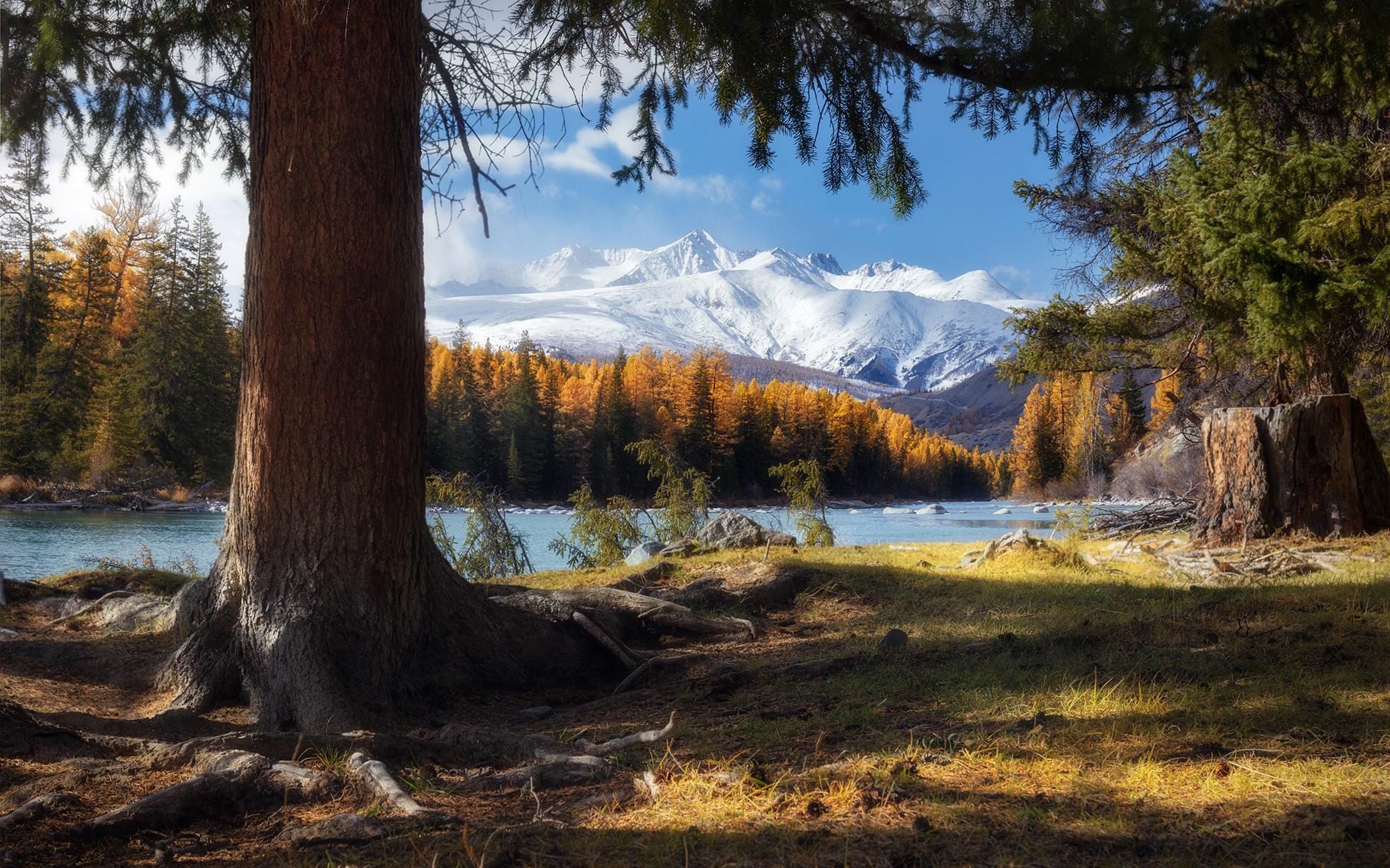В тенях осени. Кош-Агачский район, сентябрь 2021