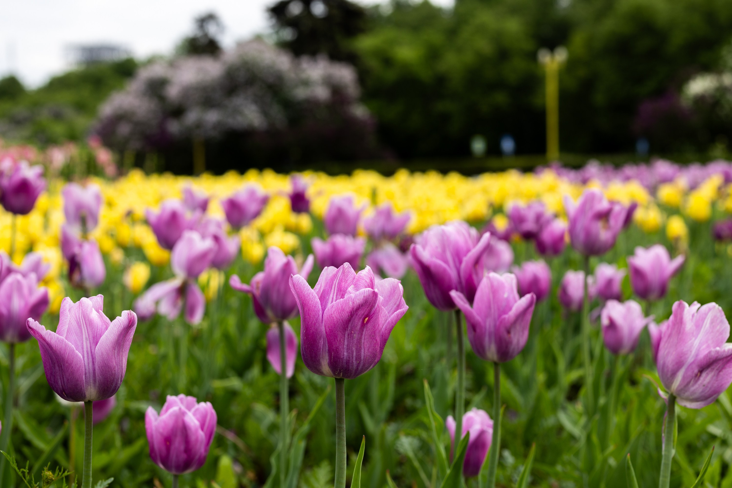 Фокус внимания. Главная