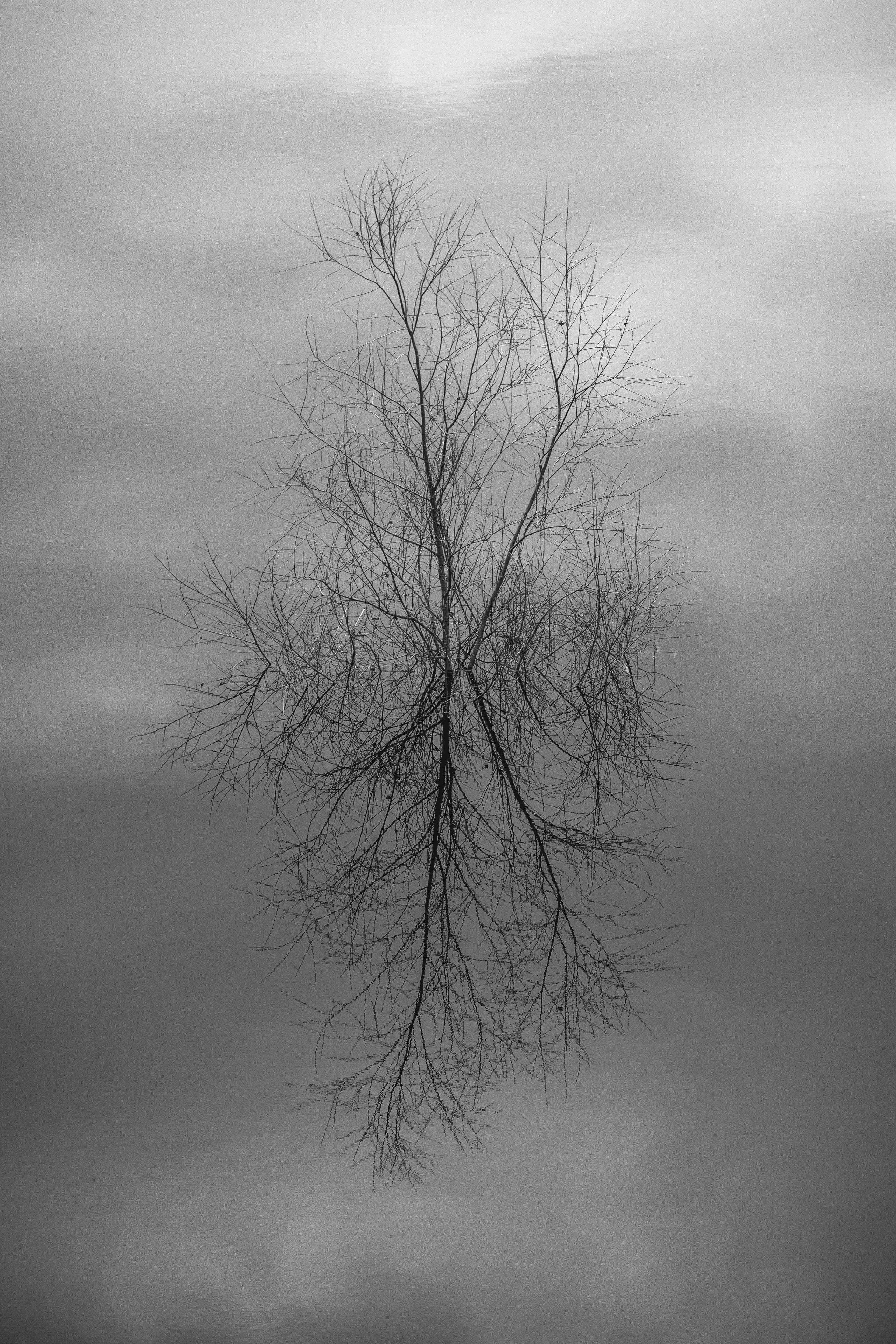 Репортажный фотограф Владимир Беляй