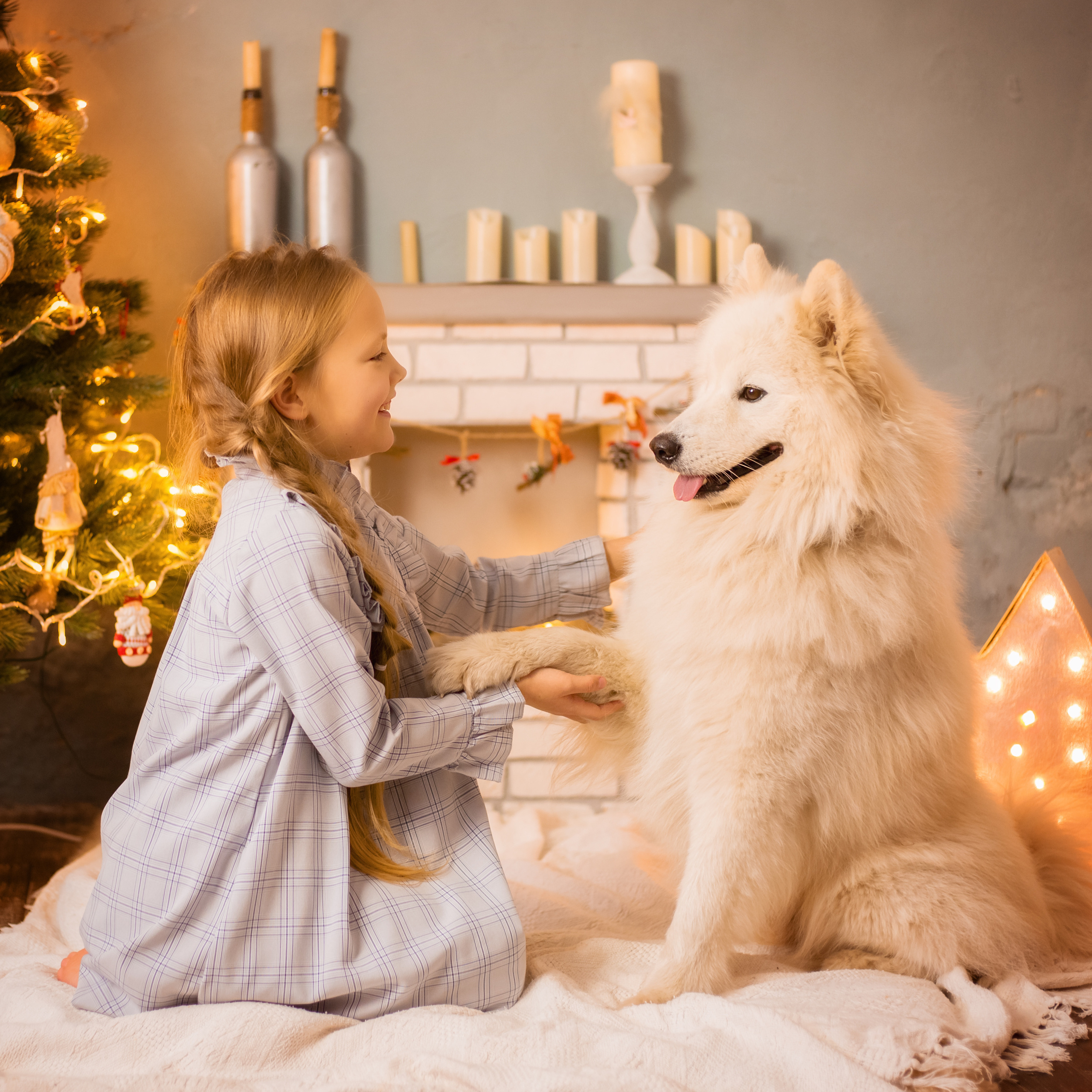 Утро перед Рождеством. Стильный выпускной альбом Владивосток фотограф Вероника Мигачева