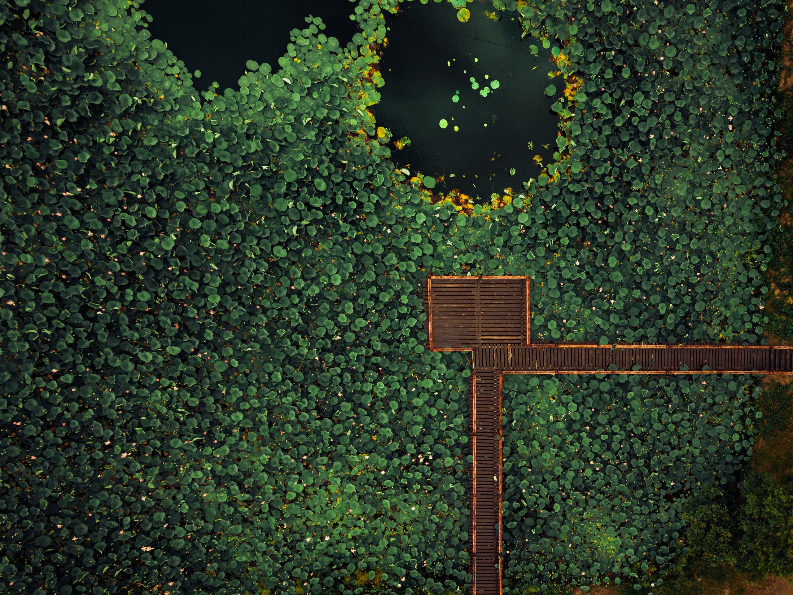 Пруд «Семейный» | с. Петровка. Иван Зайцев (IZIART) — создание культурного кода через фото и видео