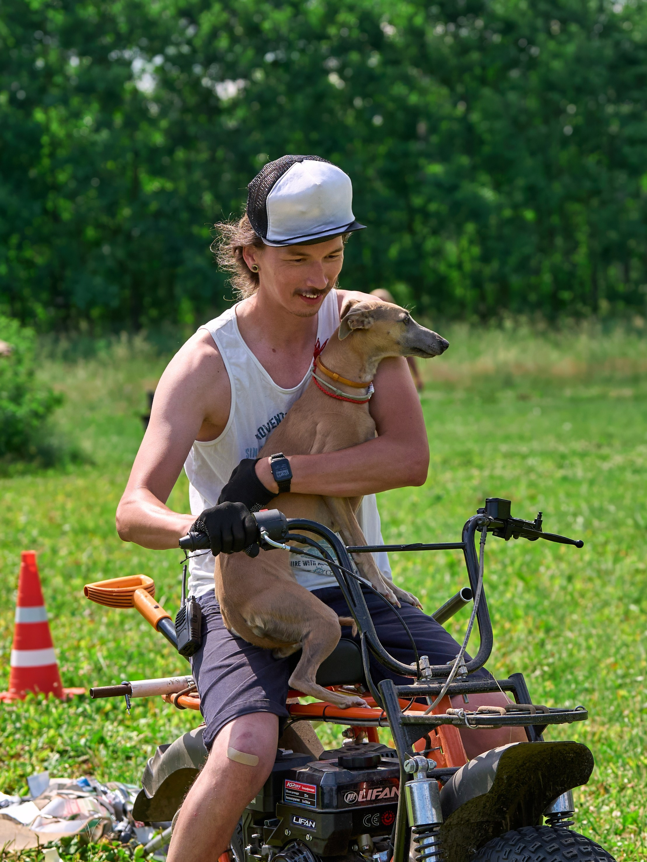 Тренировка по курсингу в Донино. Фотограф-анималист Михаил Манухин